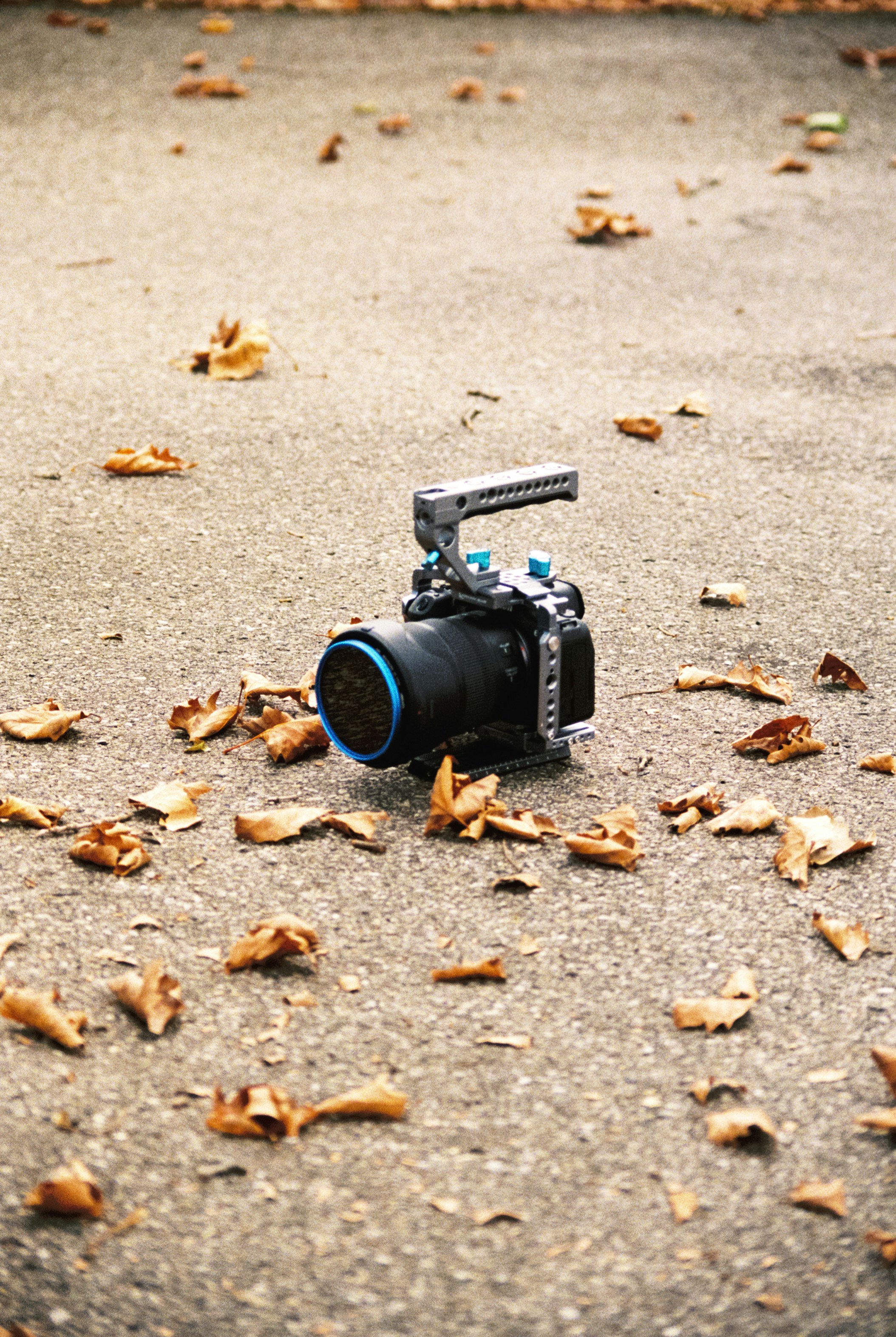 una telecamera seduta a terra con le foglie a terra