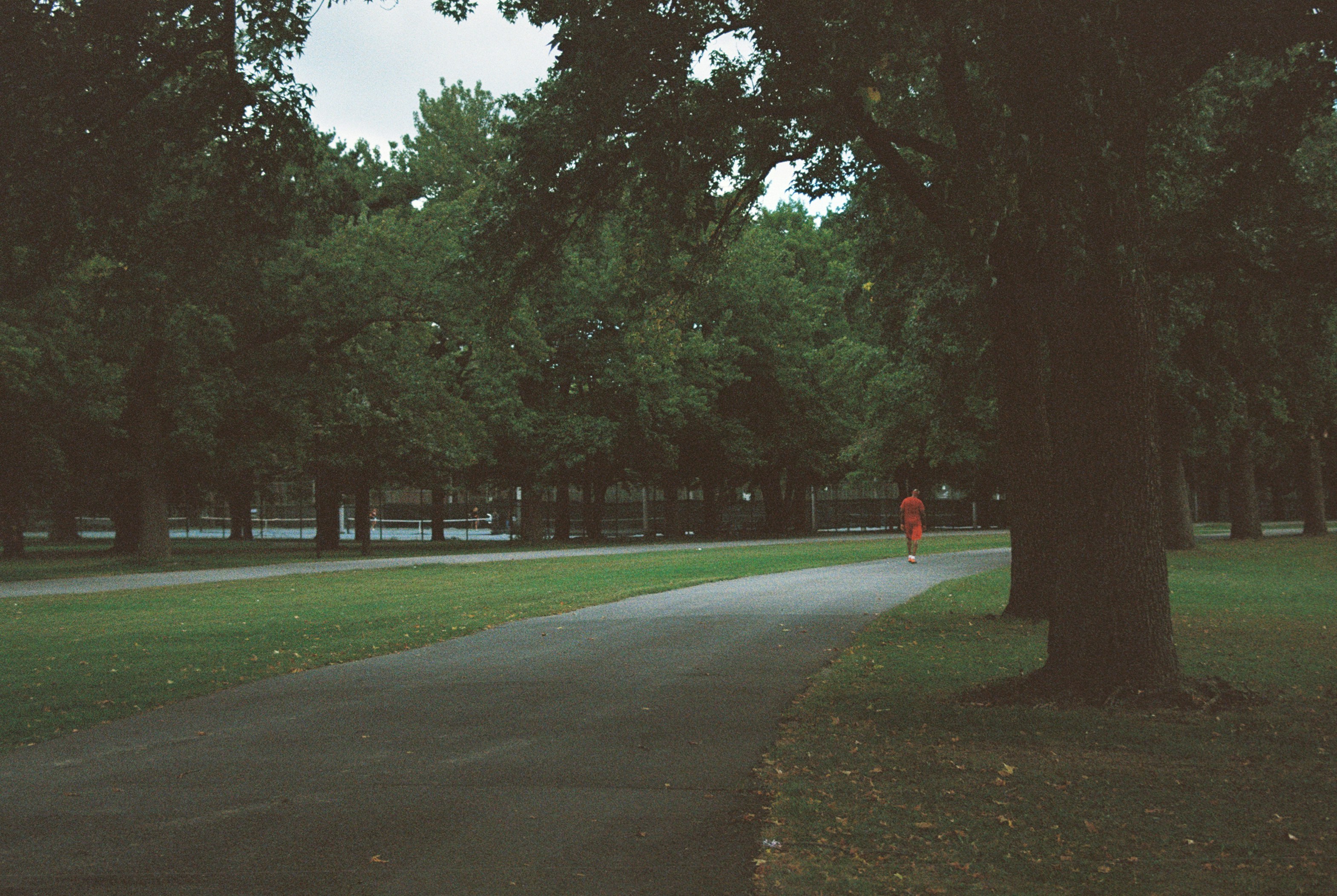 Charlie Brown Park