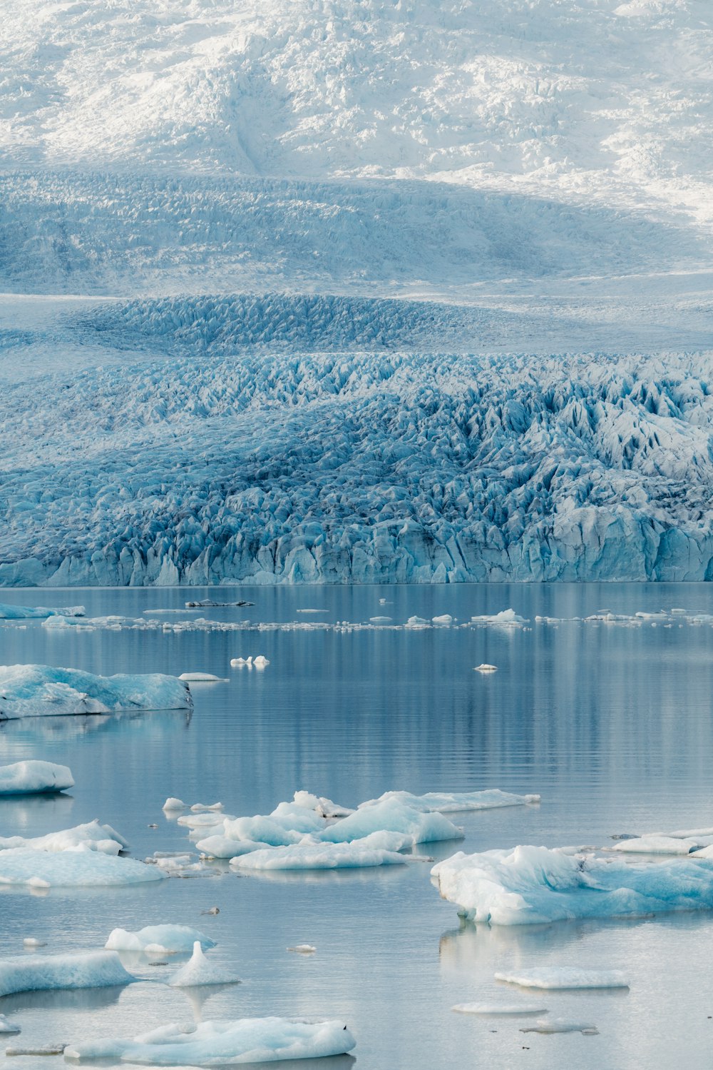 a group of icebergs floating in the water