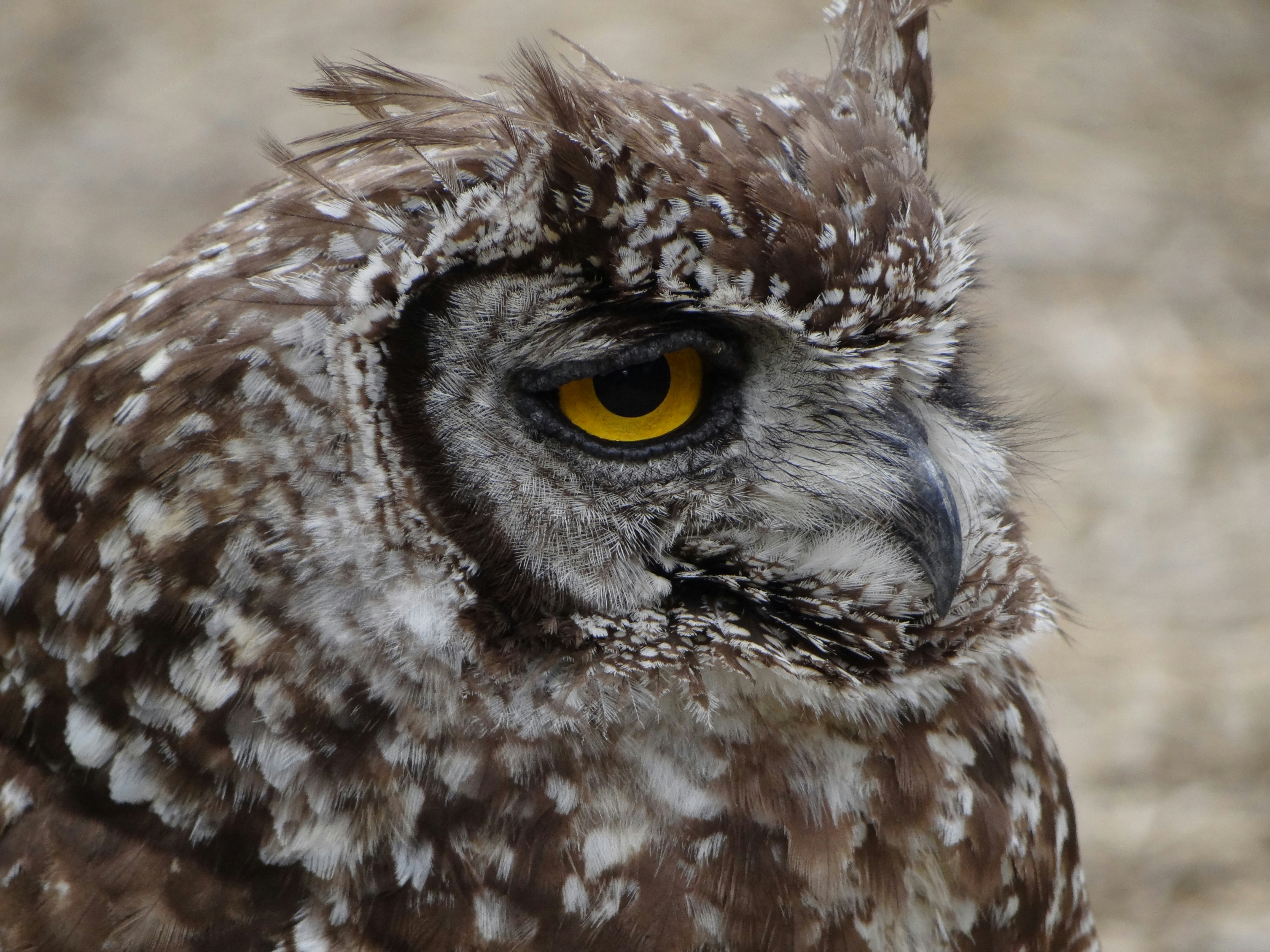 Photo by julia_fiander