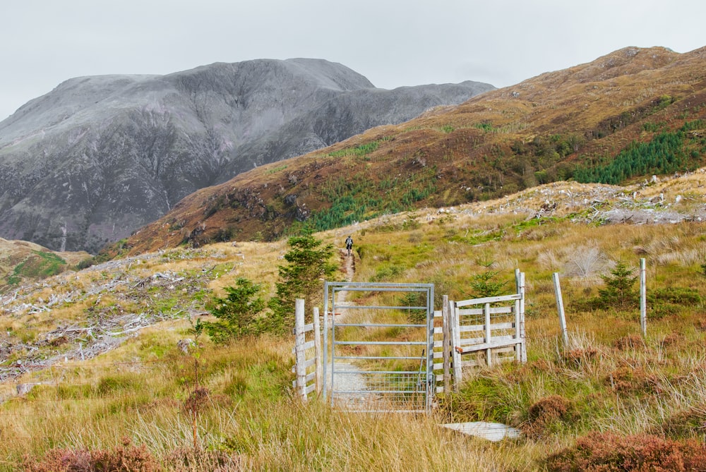 a gate in the middle of a grassy field