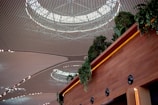 A modern architectural ceiling with a wide, repeating pattern of parallel lines and circular skylights. Below, a wall lined with lush green plants cascades down, adding a touch of nature to the interior design.