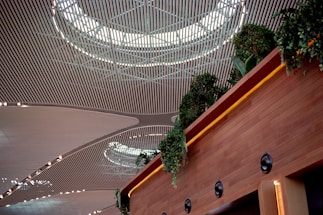 A modern architectural ceiling with a wide, repeating pattern of parallel lines and circular skylights. Below, a wall lined with lush green plants cascades down, adding a touch of nature to the interior design.