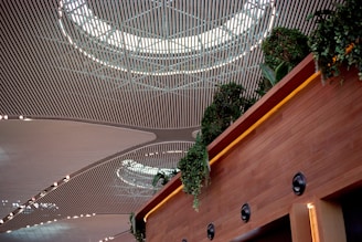 A modern architectural ceiling with a wide, repeating pattern of parallel lines and circular skylights. Below, a wall lined with lush green plants cascades down, adding a touch of nature to the interior design.