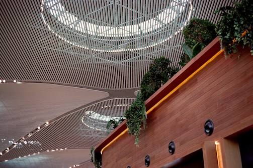 A modern architectural ceiling with a wide, repeating pattern of parallel lines and circular skylights. Below, a wall lined with lush green plants cascades down, adding a touch of nature to the interior design.