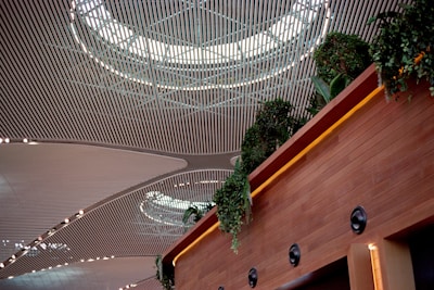 A modern architectural ceiling with a wide, repeating pattern of parallel lines and circular skylights. Below, a wall lined with lush green plants cascades down, adding a touch of nature to the interior design.