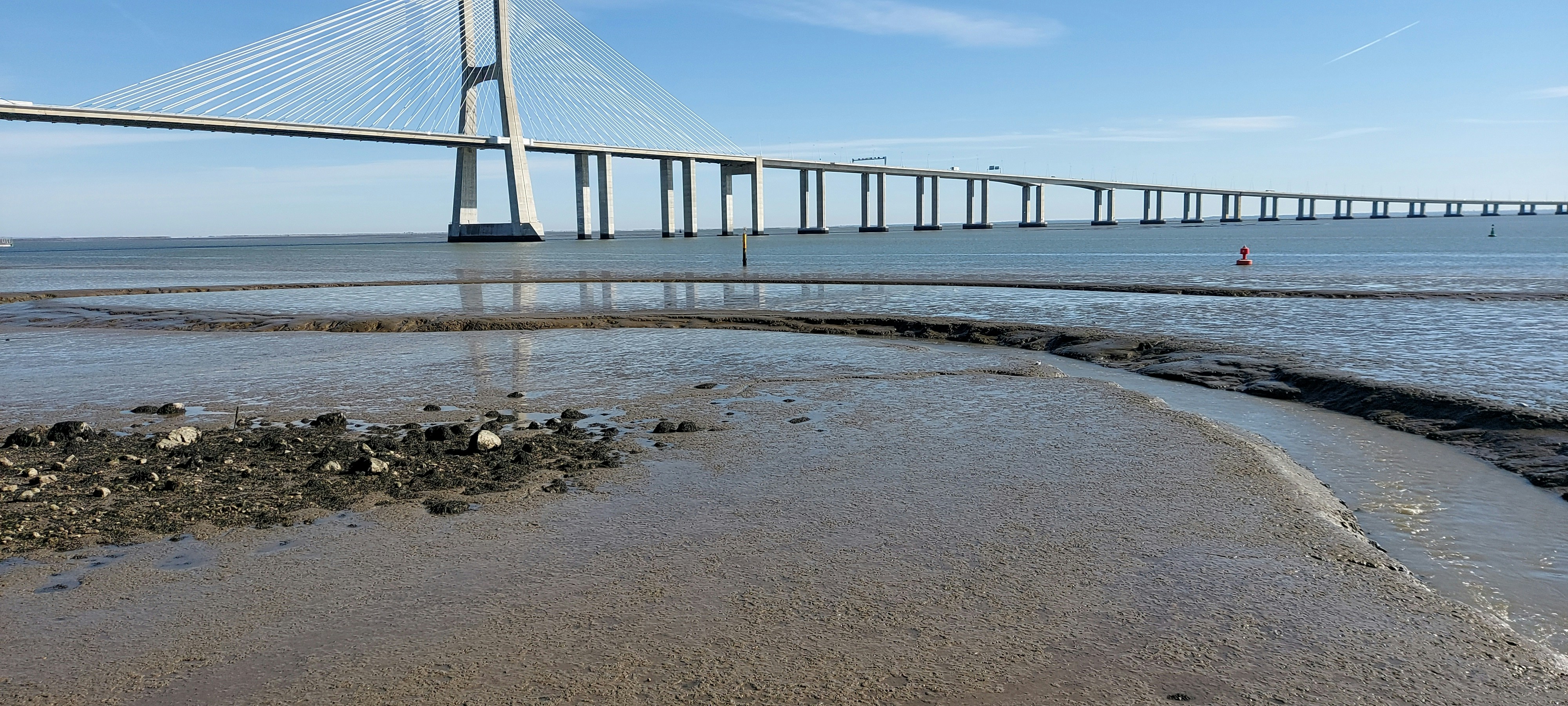 Photo by emerson_borges