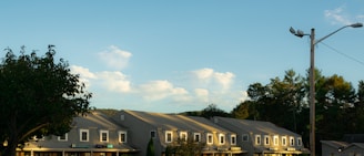 A row of connected storefront buildings beneath a clear blue sky with scattered white clouds. Trees frame the scene on either side, casting shadows on the buildings. A streetlight pole stands adjacent to the structures, with green foliage visible in the background.