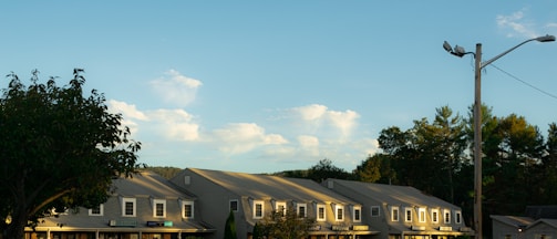 A row of connected storefront buildings beneath a clear blue sky with scattered white clouds. Trees frame the scene on either side, casting shadows on the buildings. A streetlight pole stands adjacent to the structures, with green foliage visible in the background.