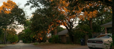A friendly driving instructor guiding a young learner through a quiet suburban street.