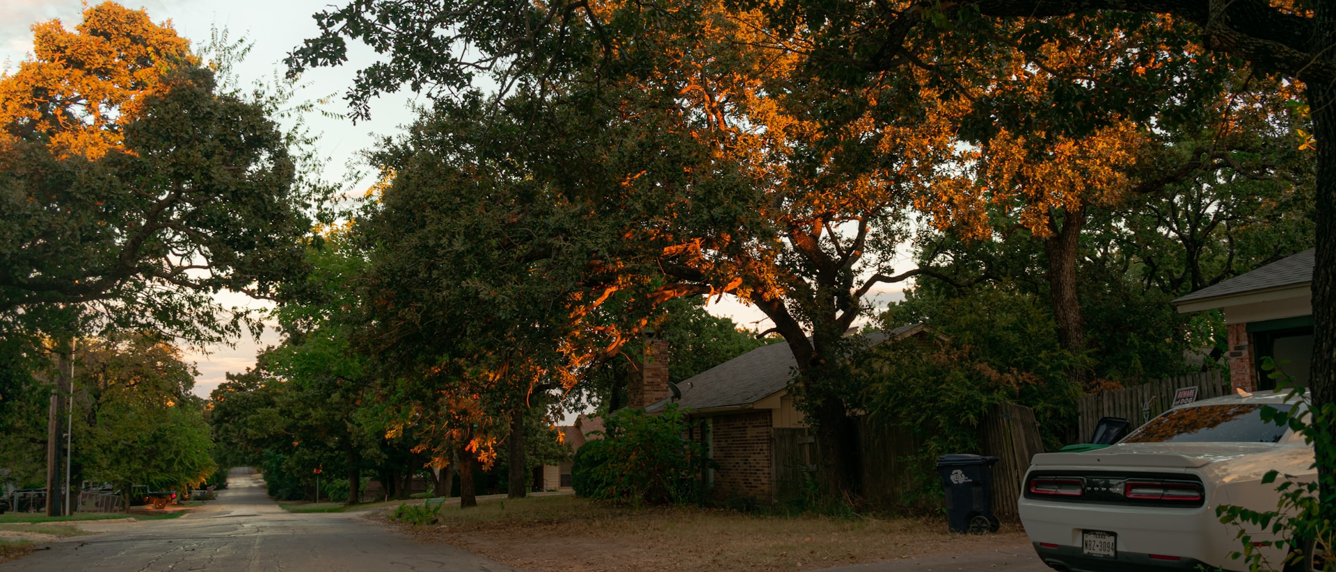 woman wearing yellow long-sleeved dress under white clouds and blue sky during daytime
