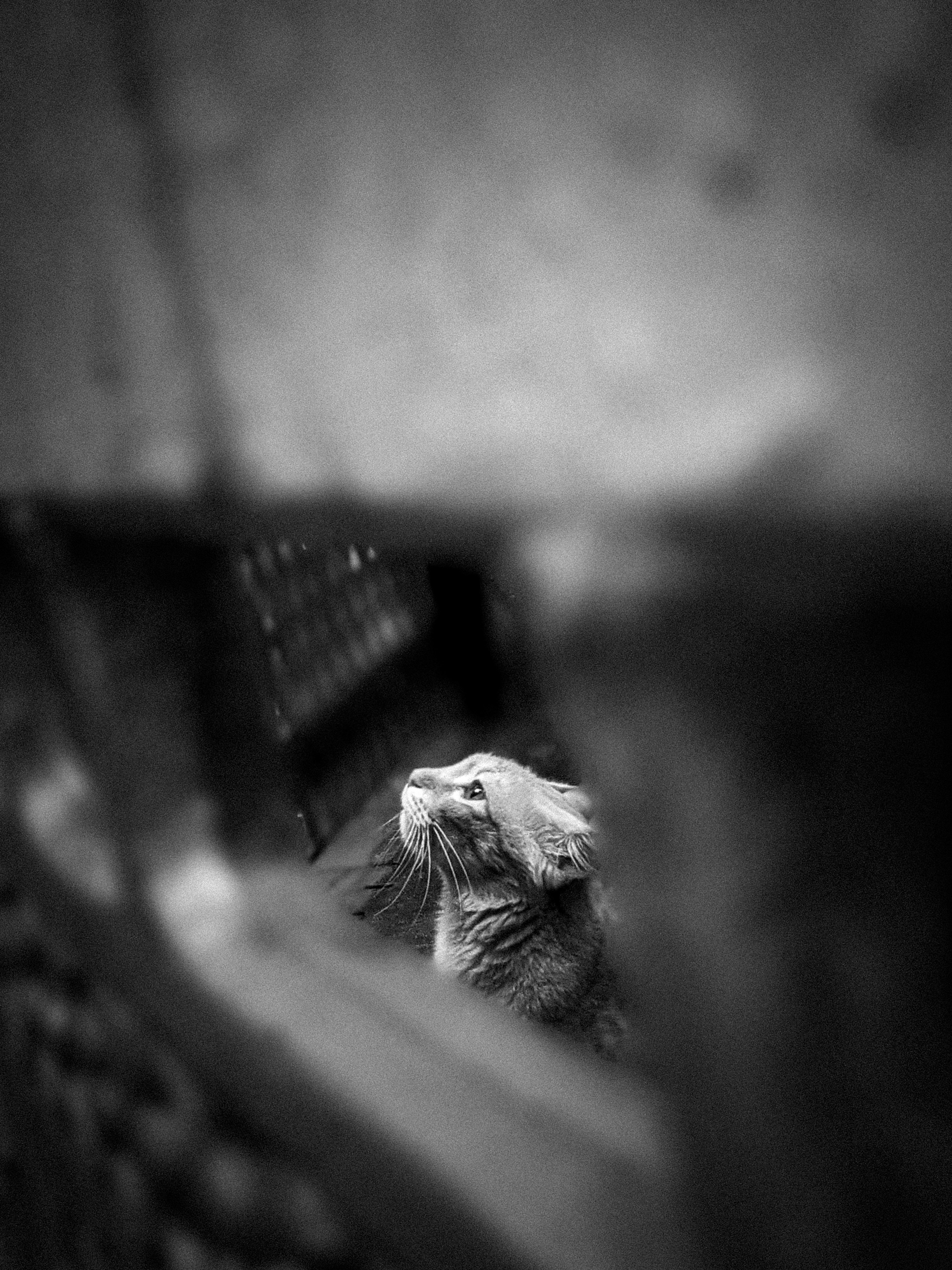 Photo by karthick_narain