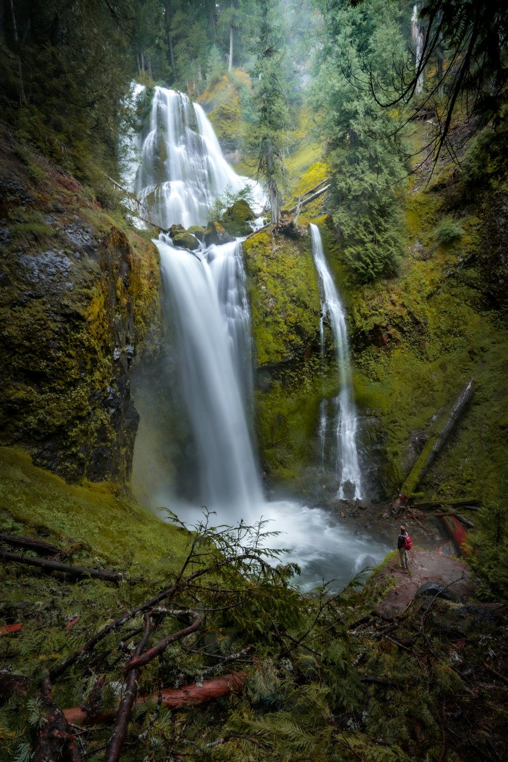 a waterfall in the middle of a forest