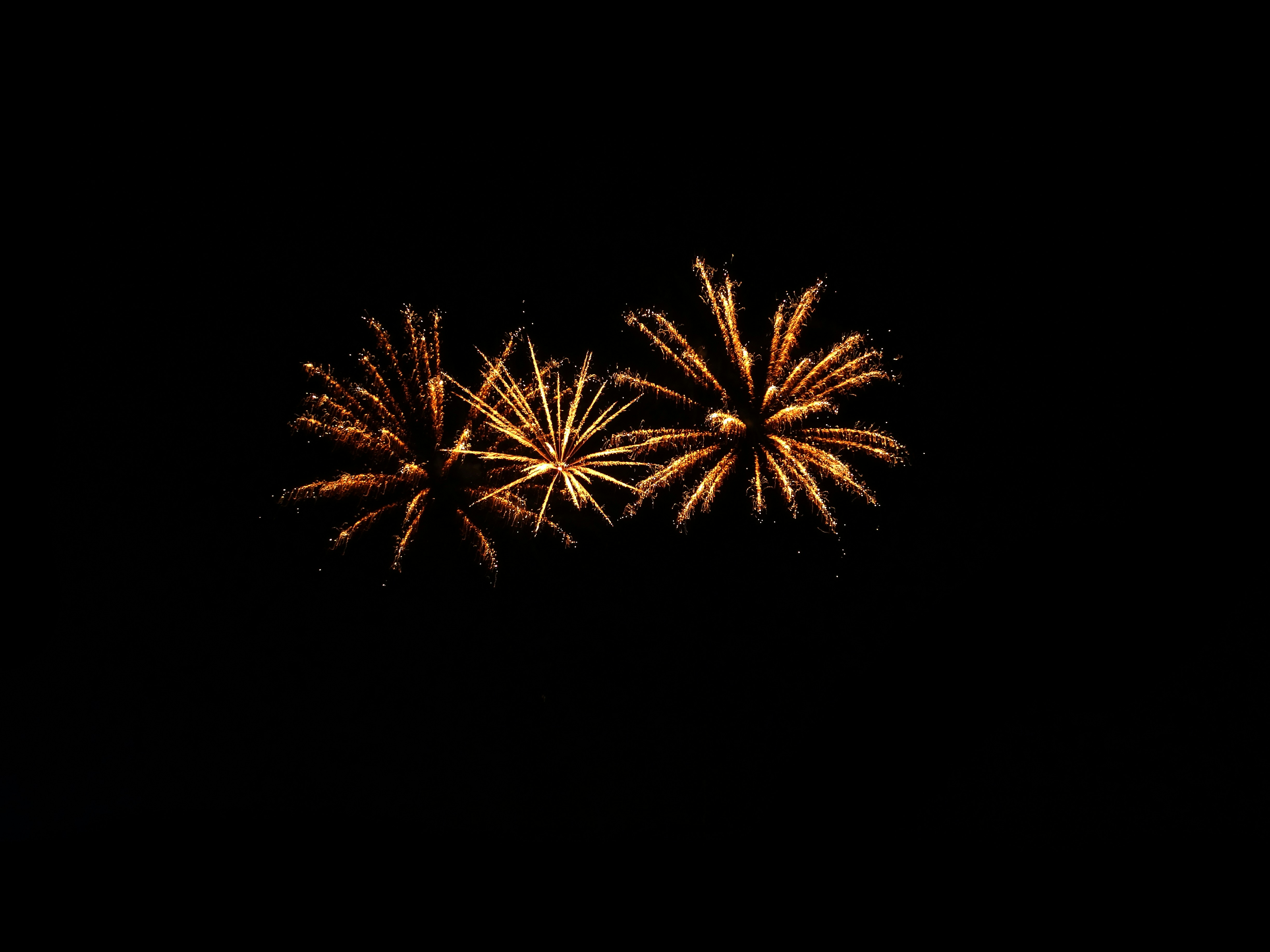 Photo by 12photography