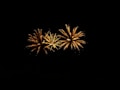 Bright, golden fireworks bursting symmetrically against a deep black sky, creating a vibrant display with intricate patterns.