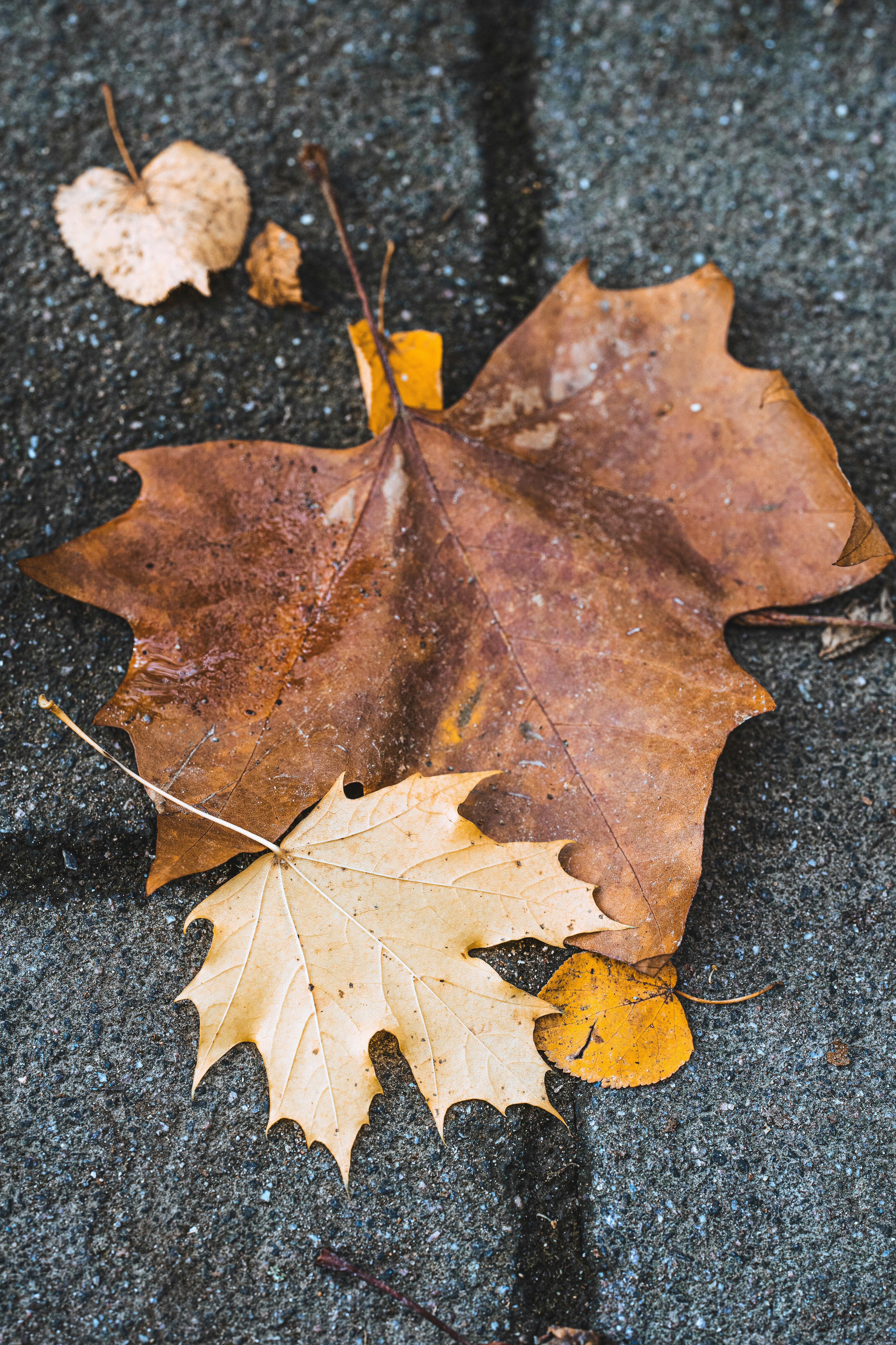 Photo by omarvellous14