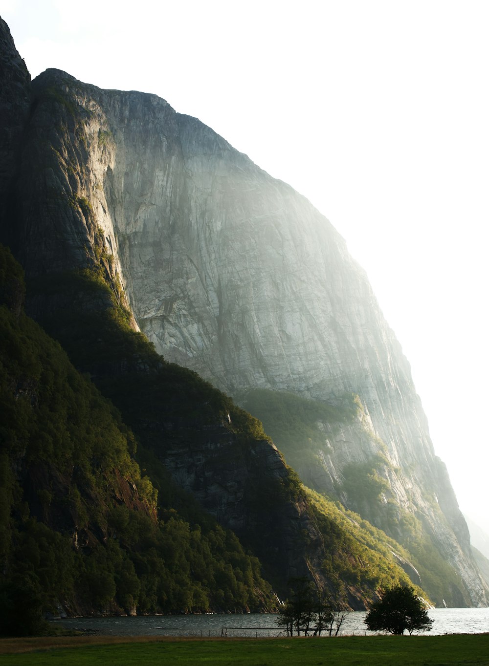 a grassy field with a mountain in the background