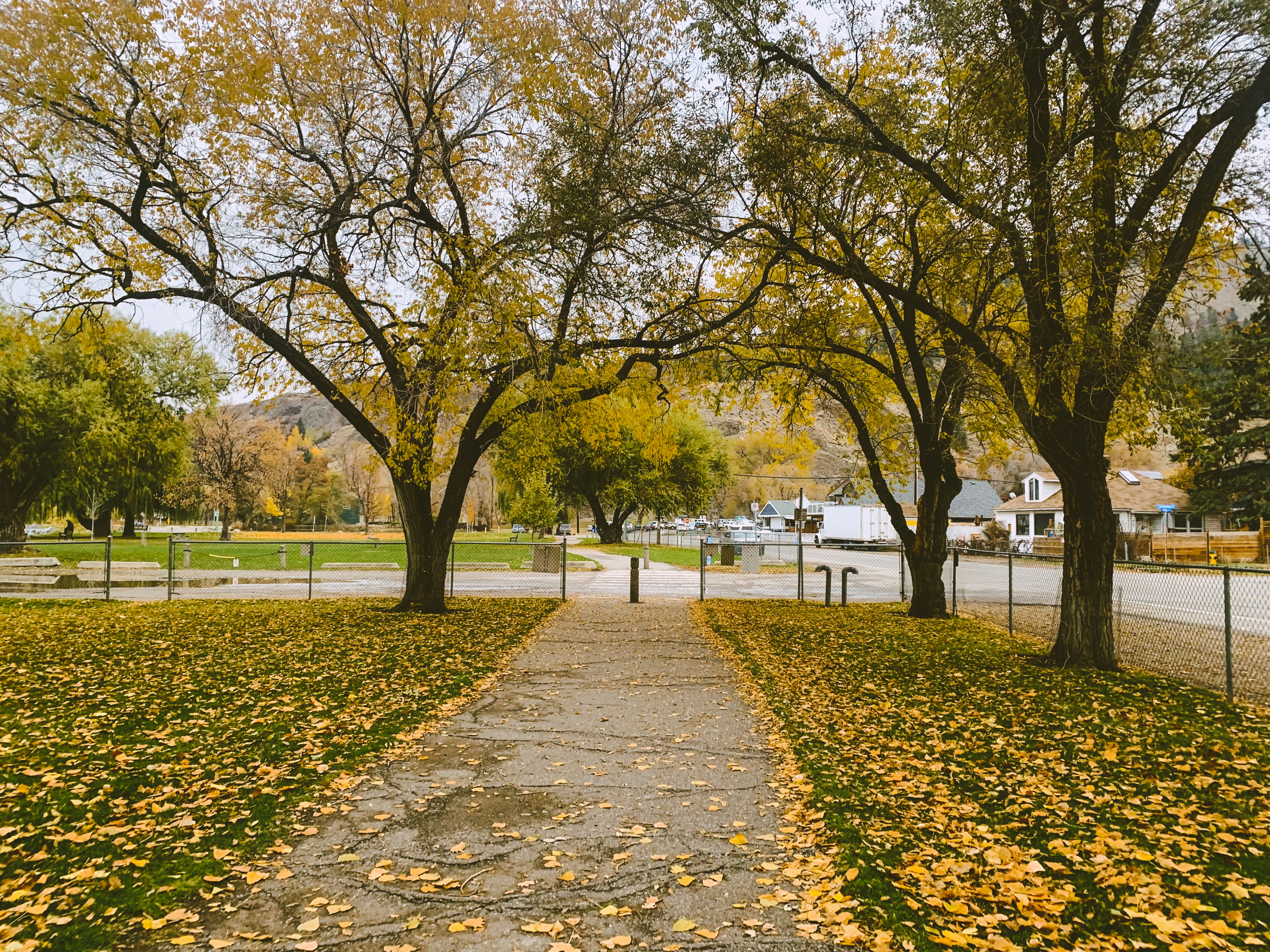 Photo by kolbymilton