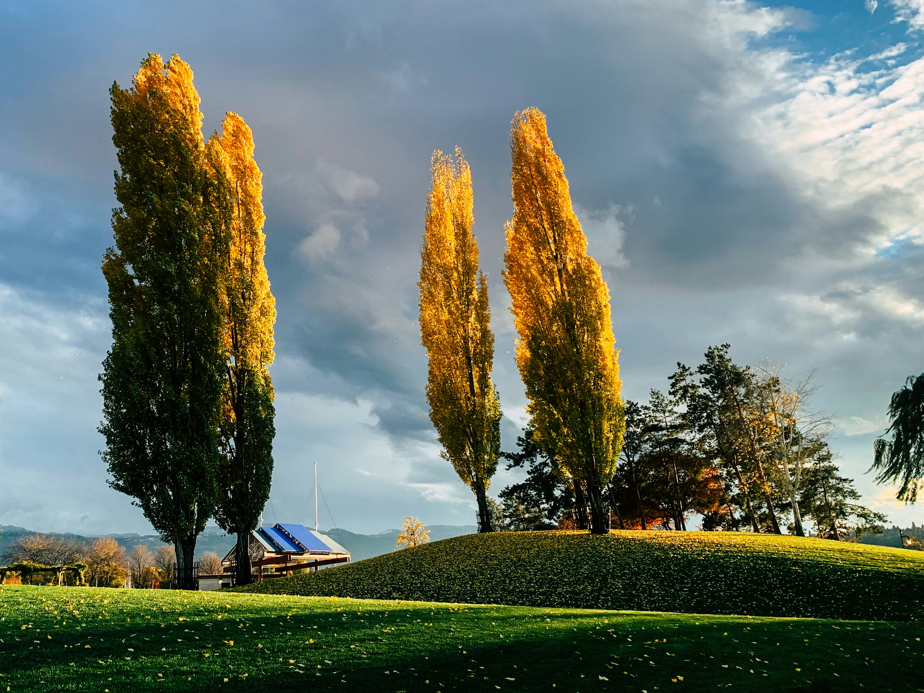 Hazelnut Park