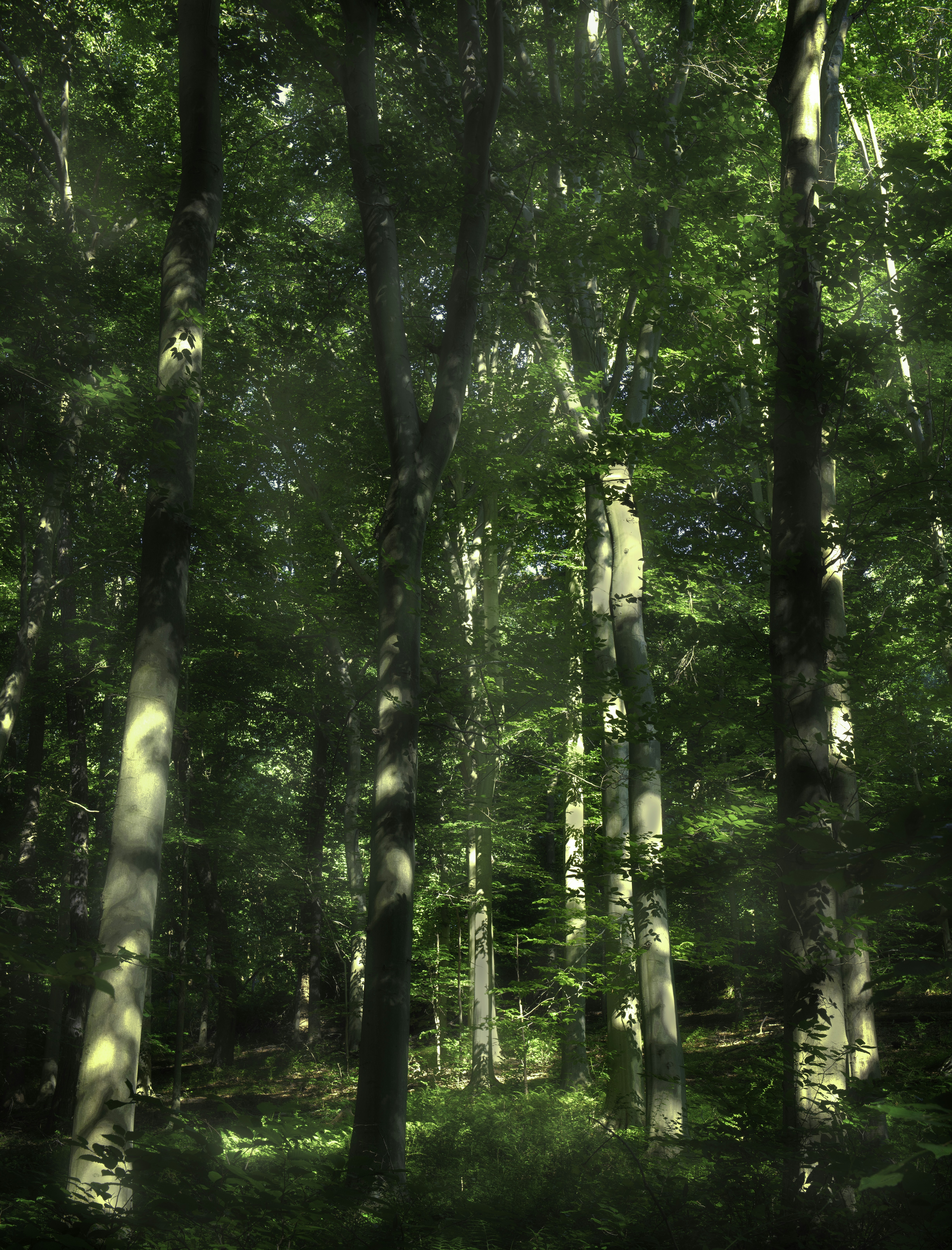 Photo by lreichenstein