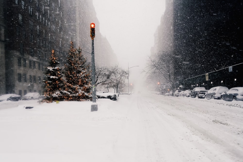 a snowy street with a traffic light and a christmas tree