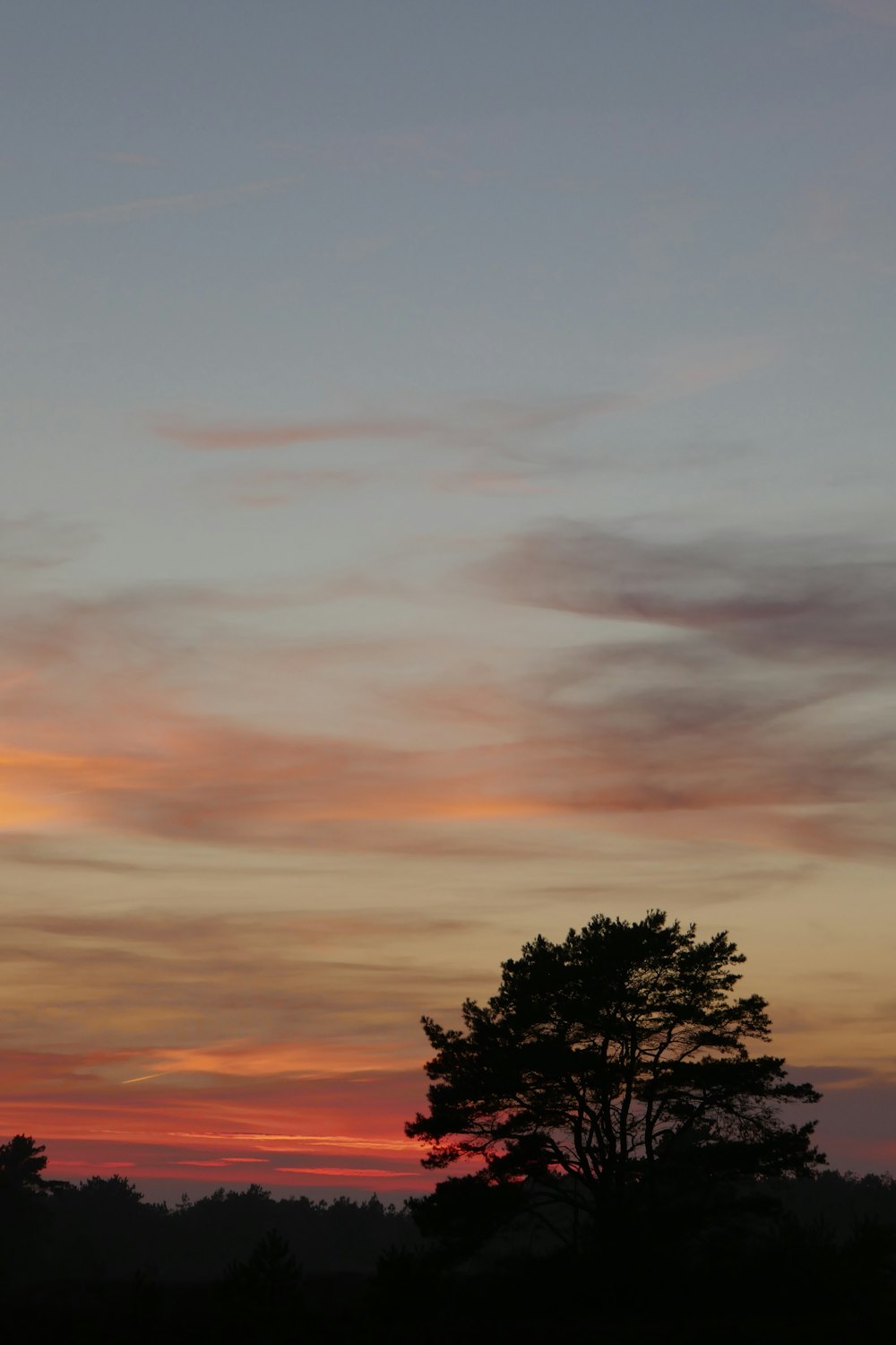 a plane flying in the sky with a sunset in the background