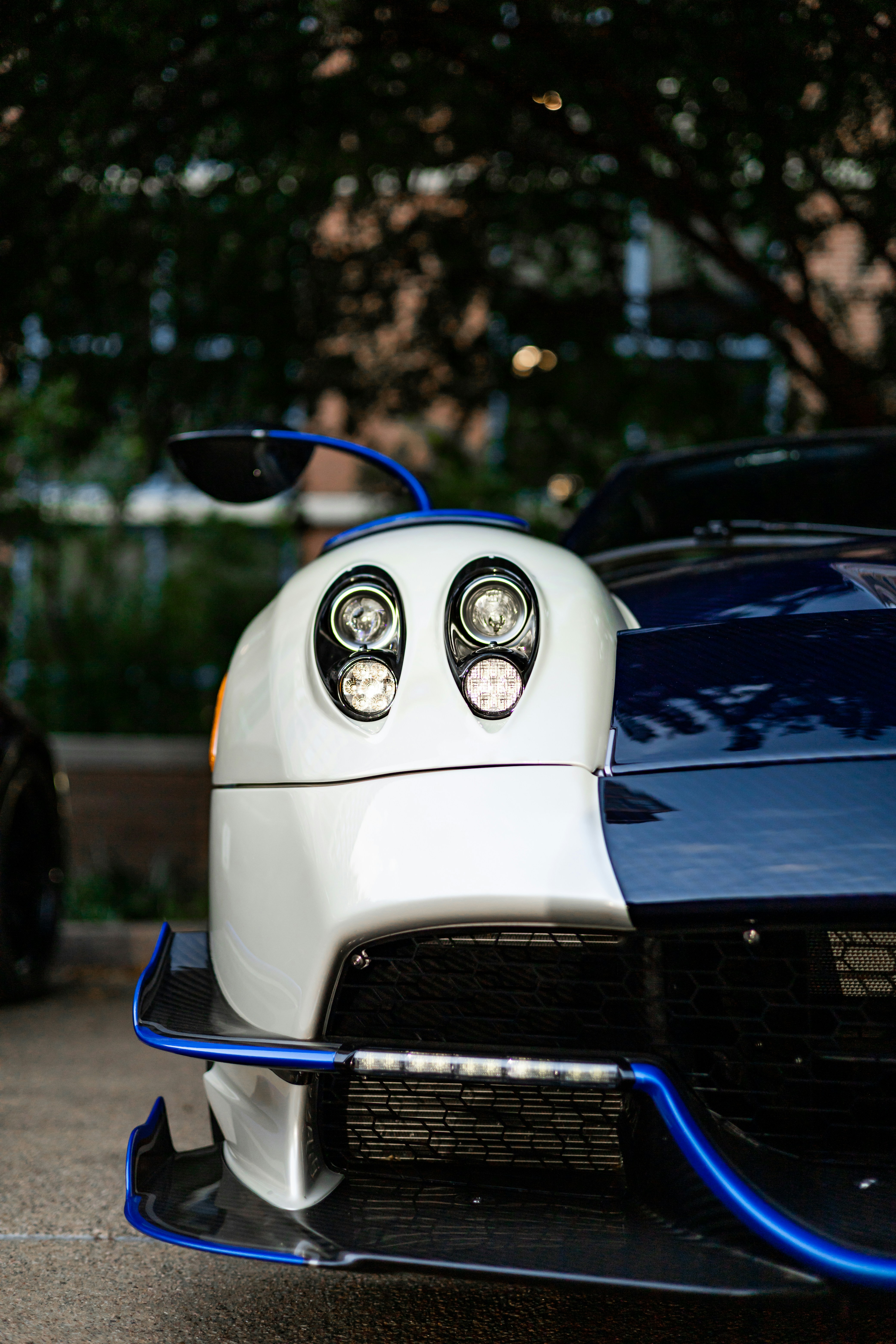 Photo by lonestarexotic