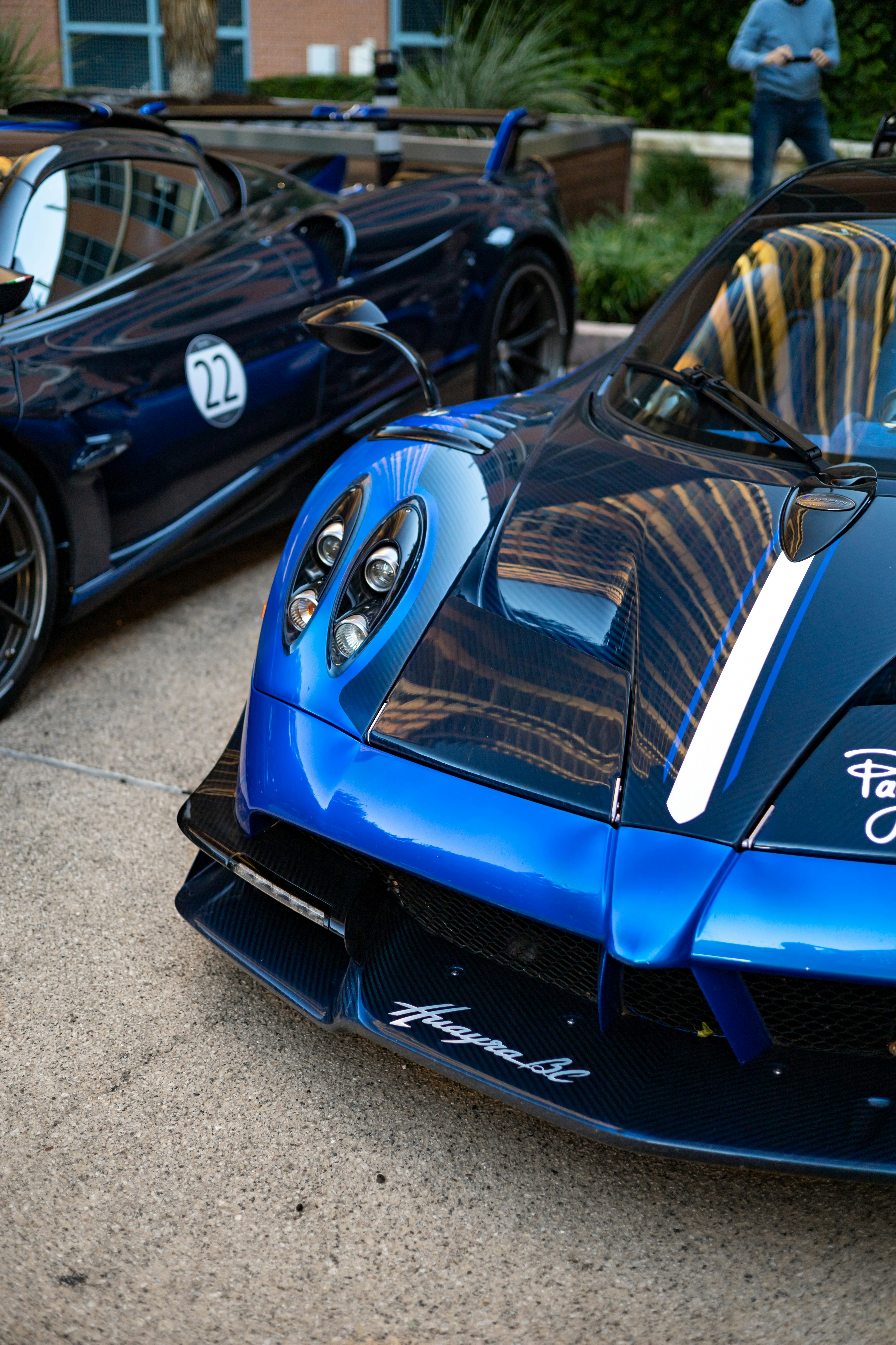 Photo by lonestarexotic