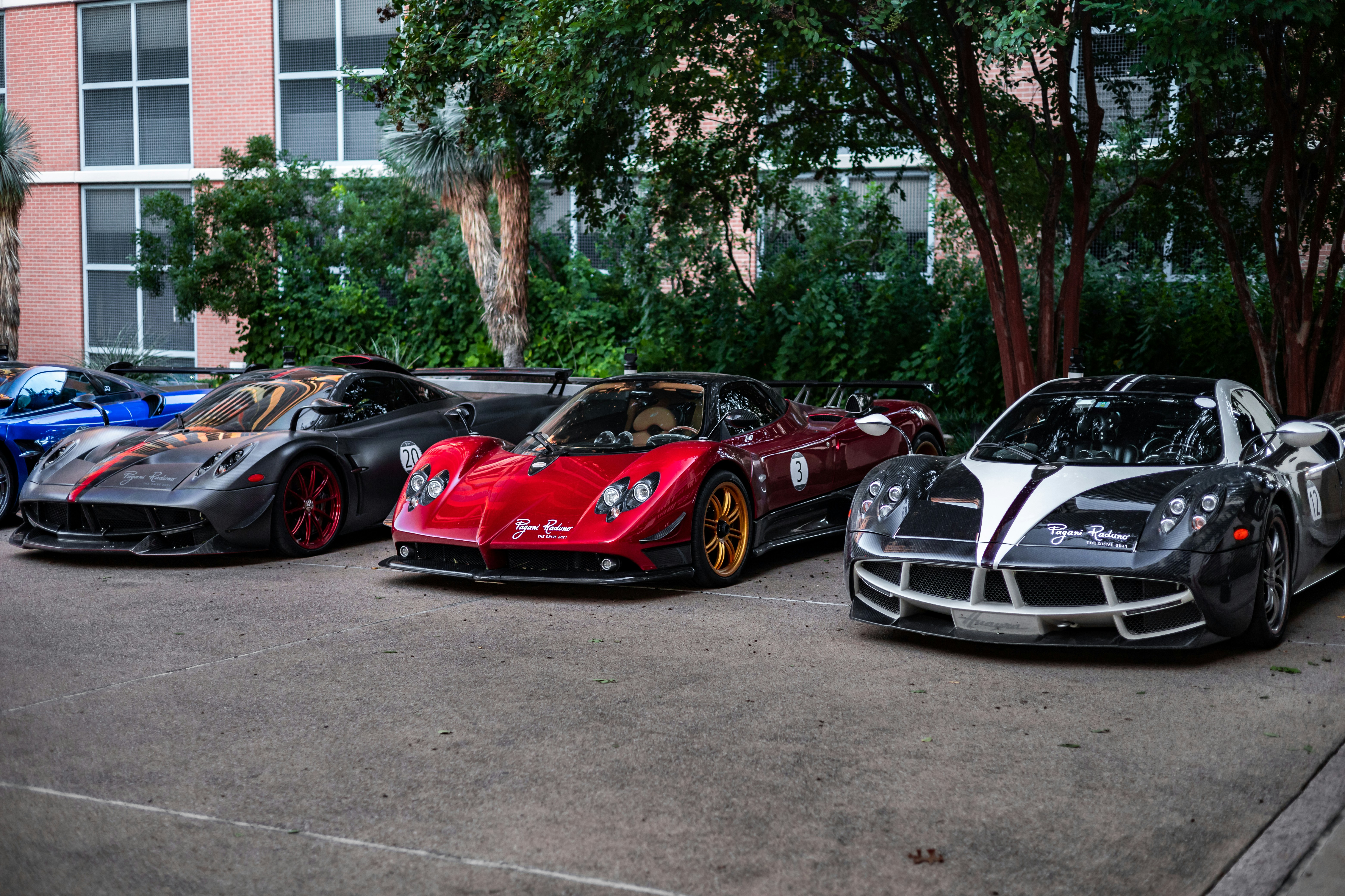 Photo by lonestarexotic