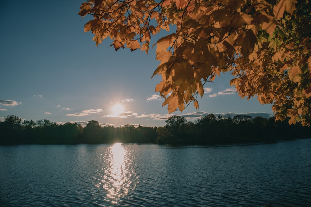 the sun is setting over a lake with trees in the foreground