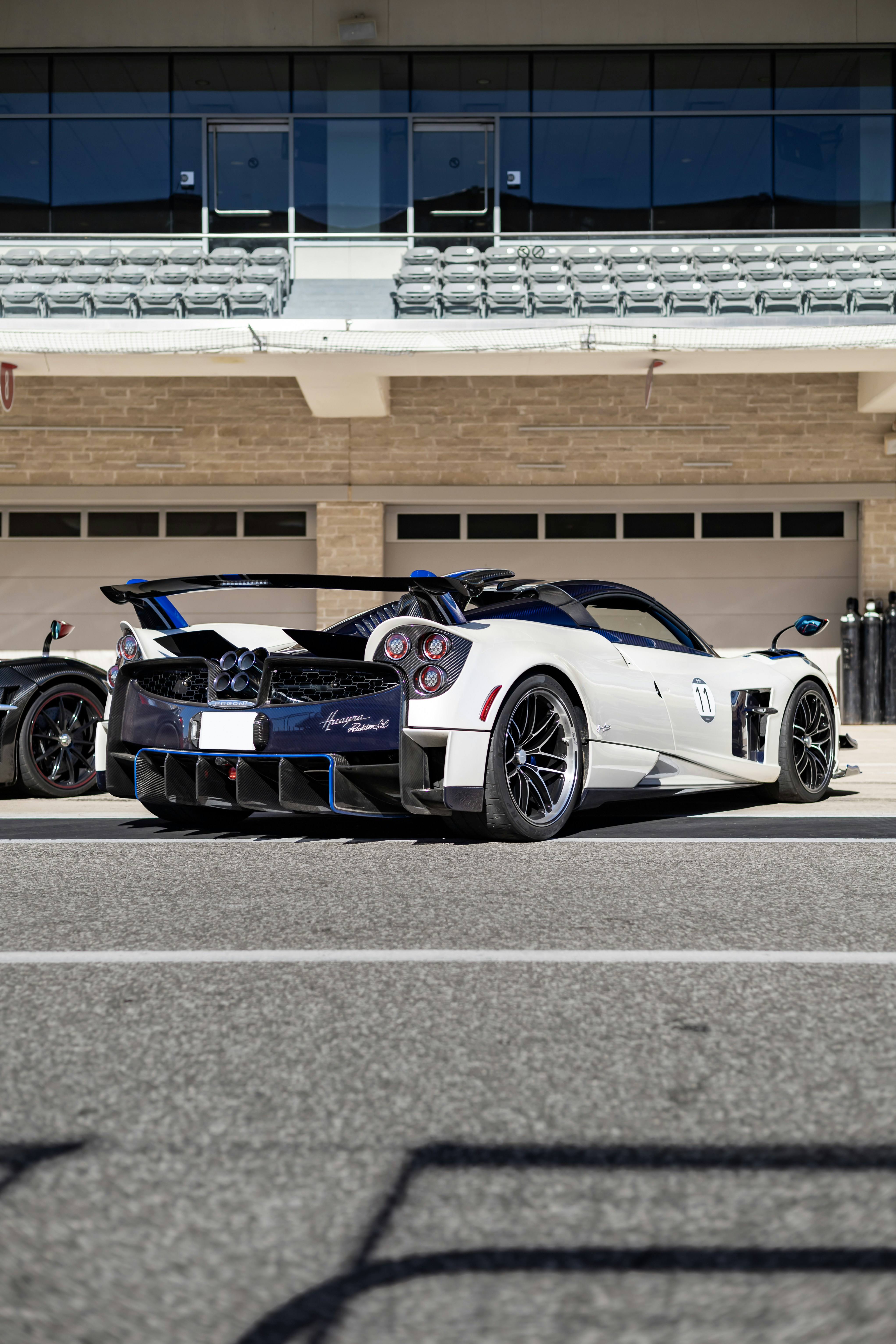 Photo by lonestarexotic