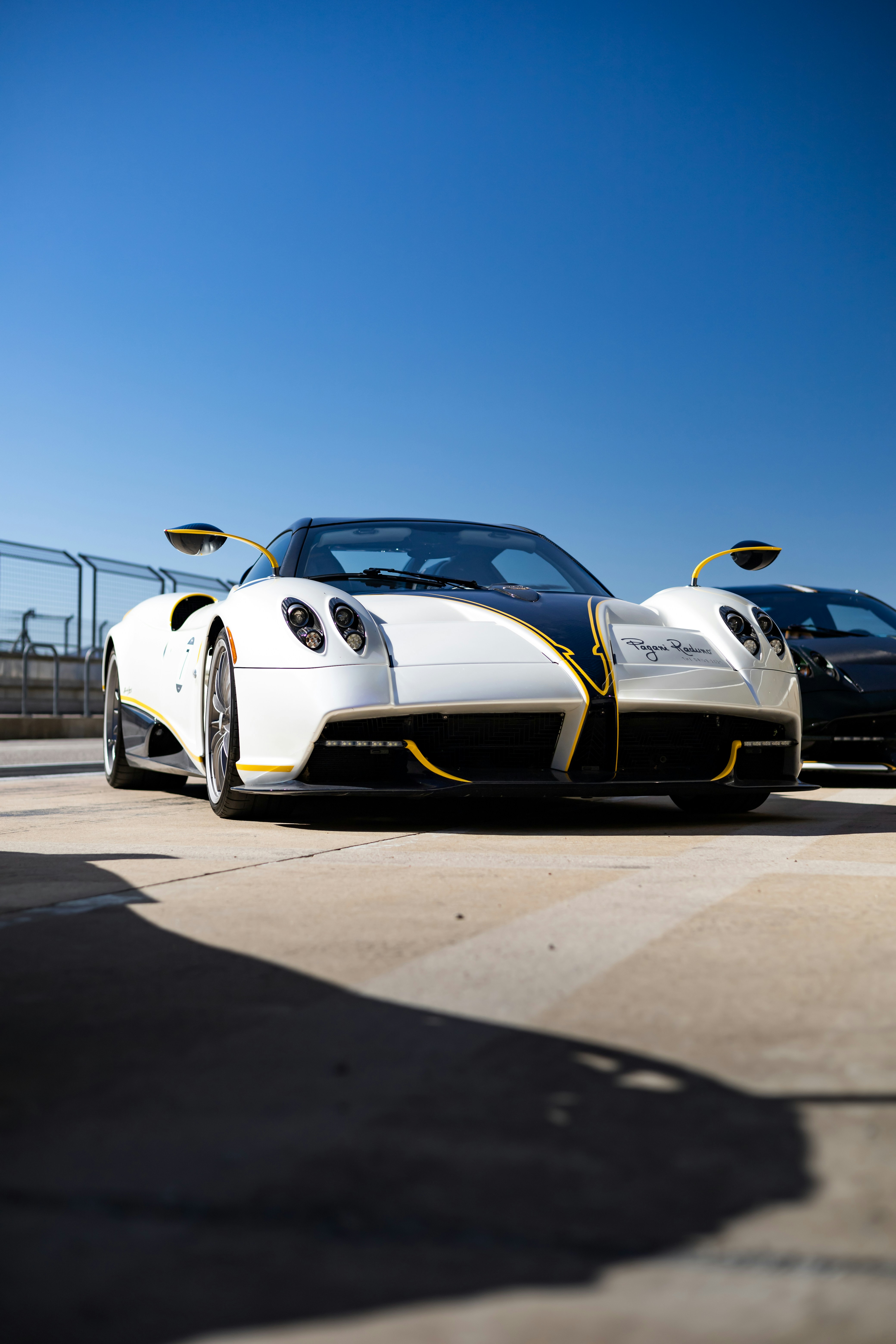 Photo by lonestarexotic