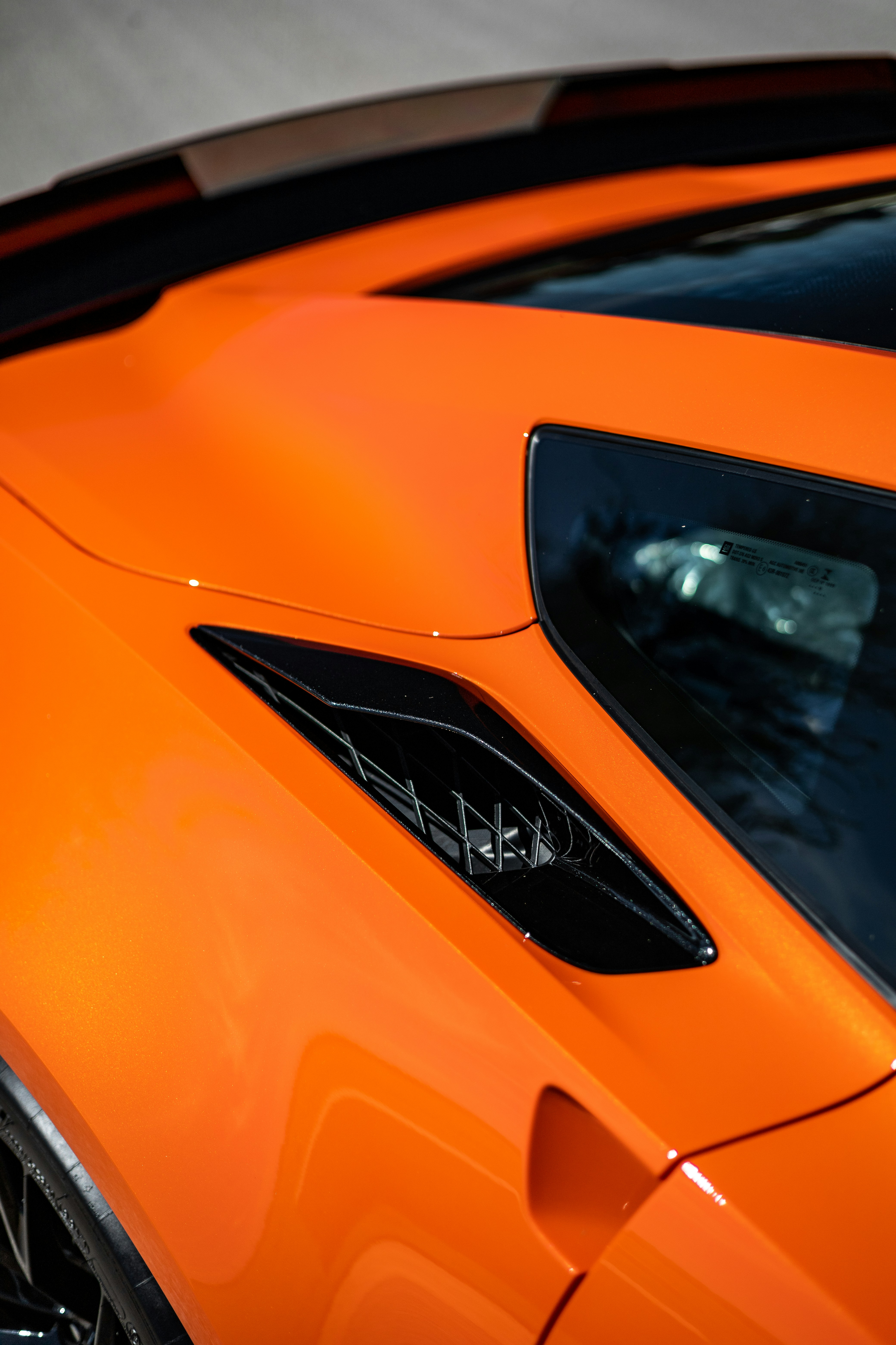 Photo by lonestarexotic