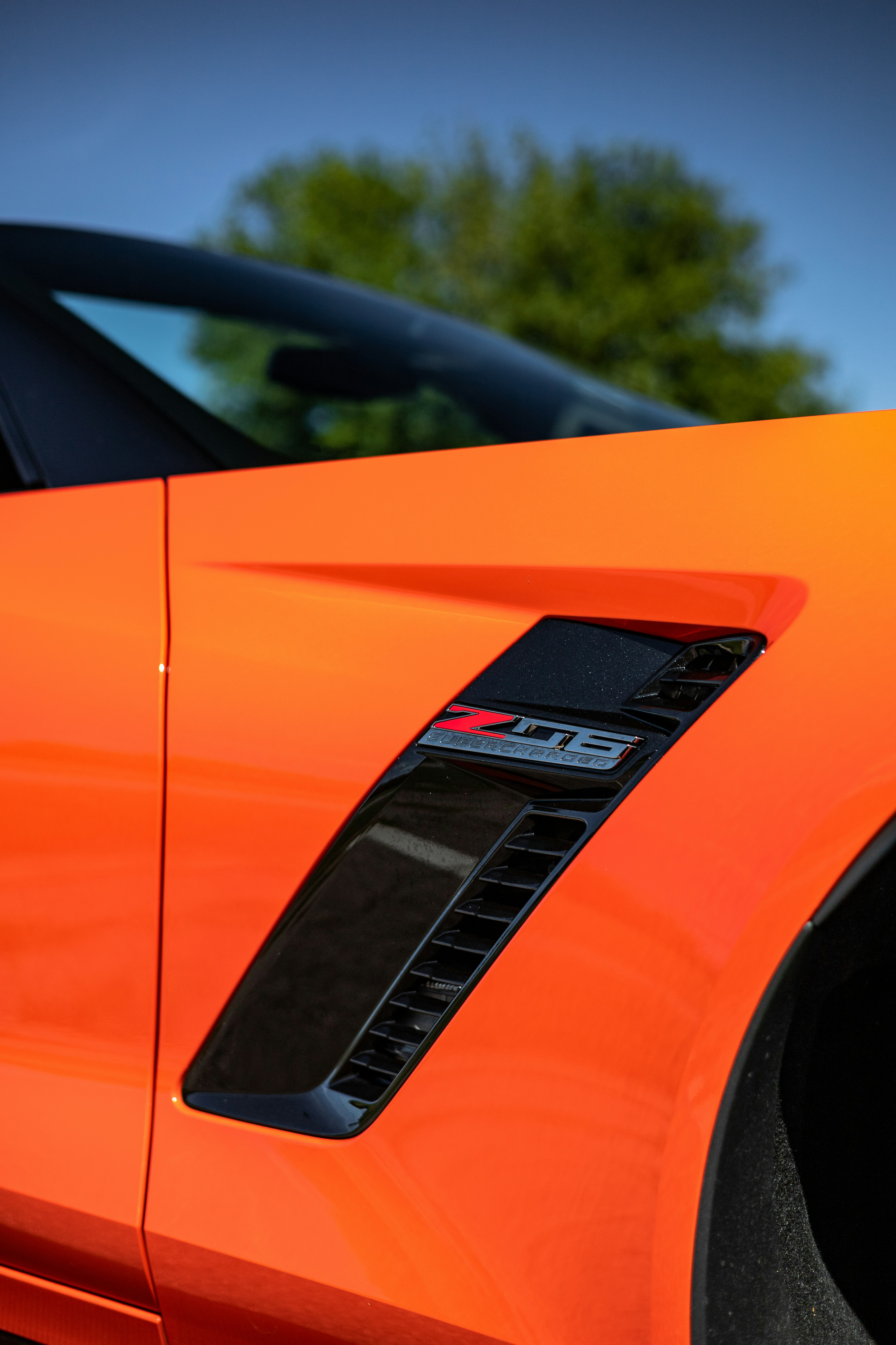 Photo by lonestarexotic