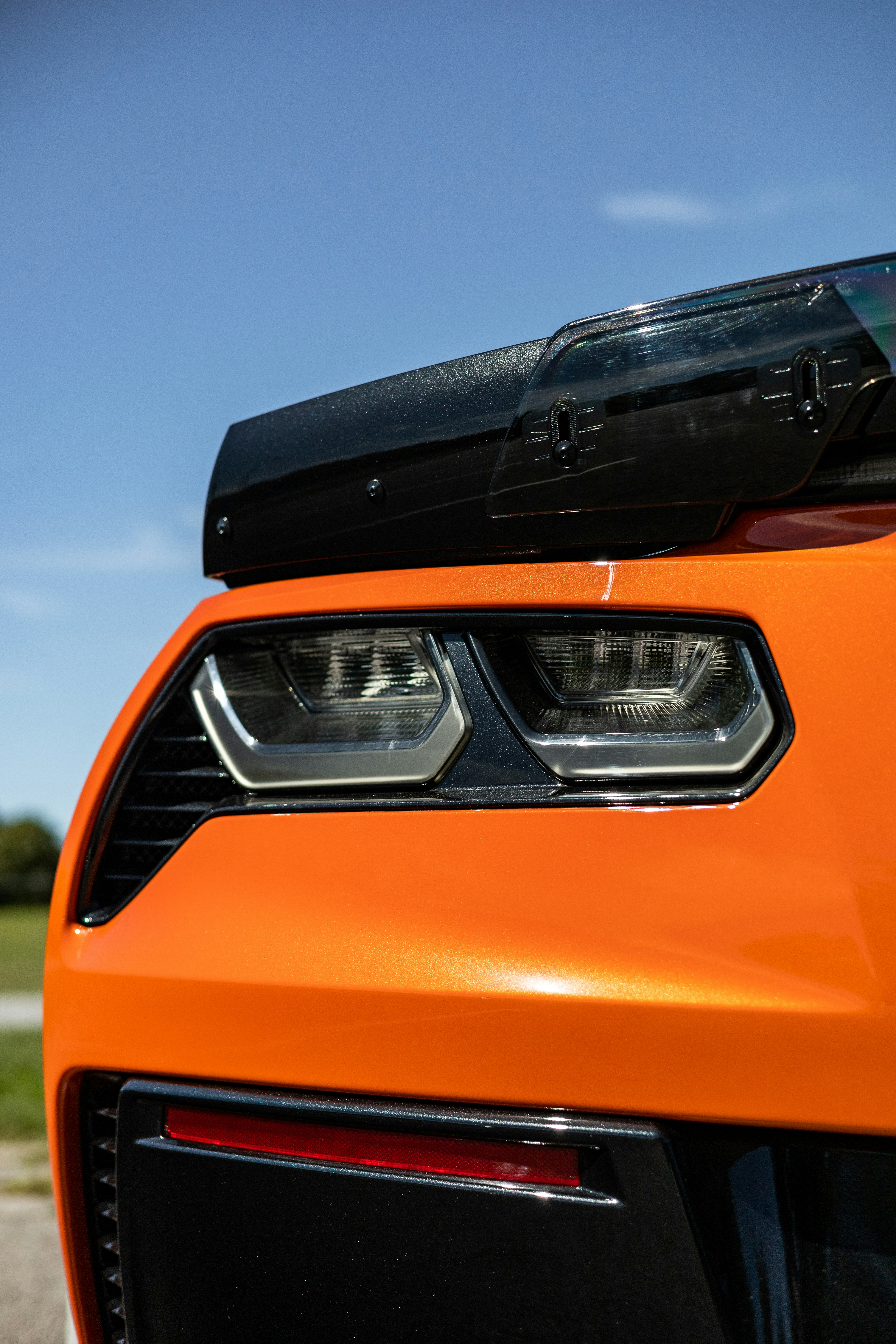 Photo by lonestarexotic