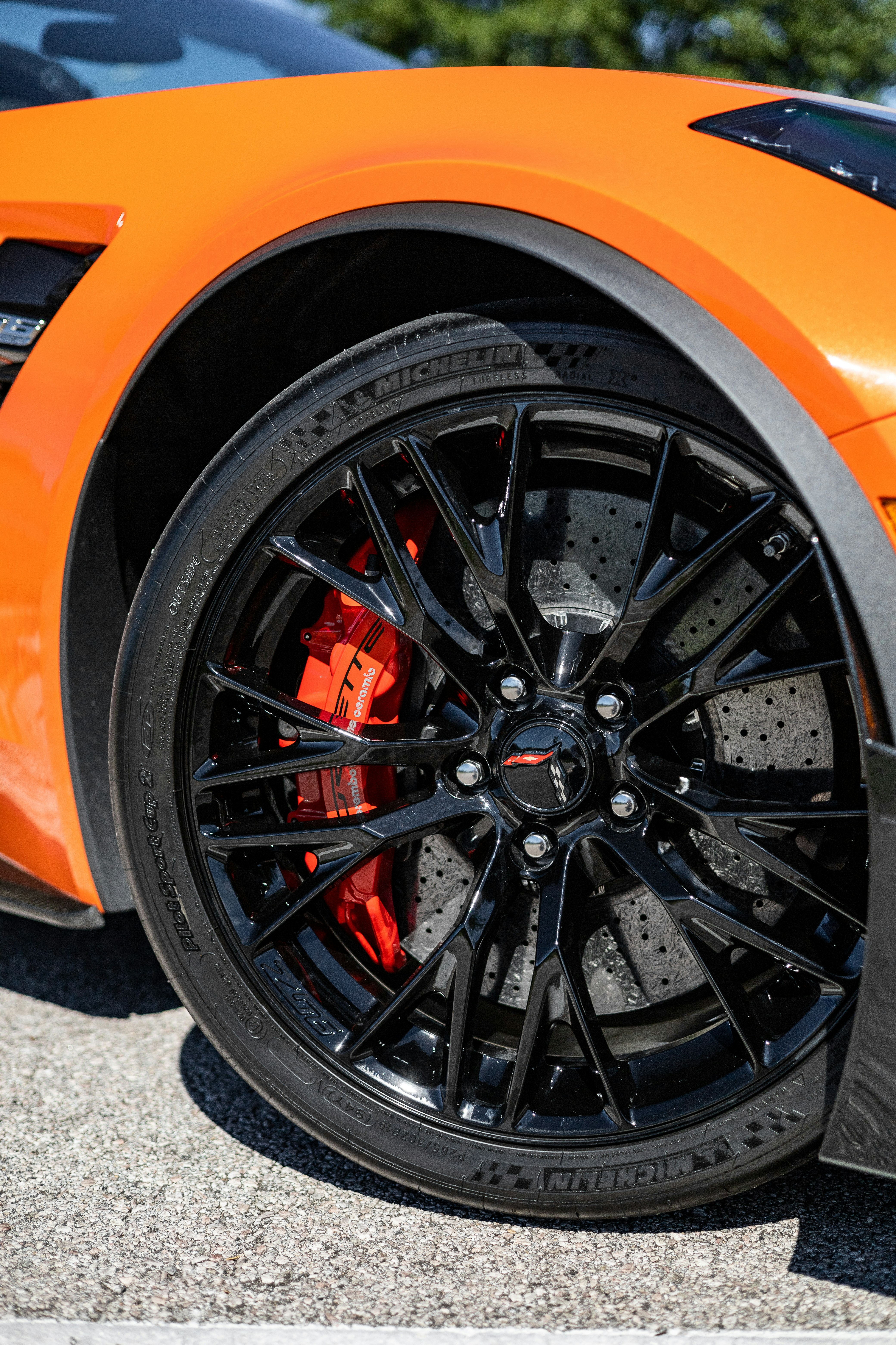 Photo by lonestarexotic