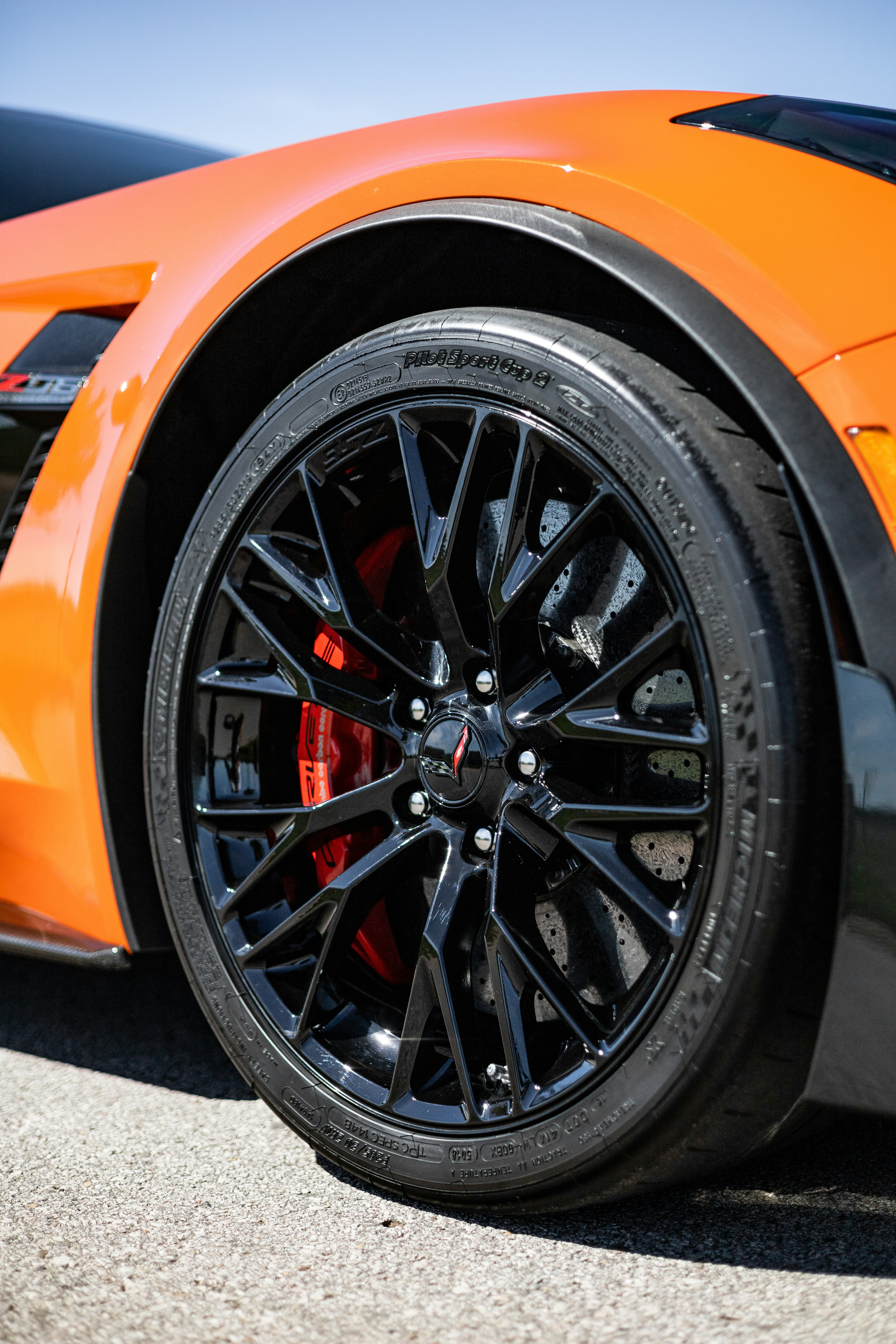 Photo by lonestarexotic