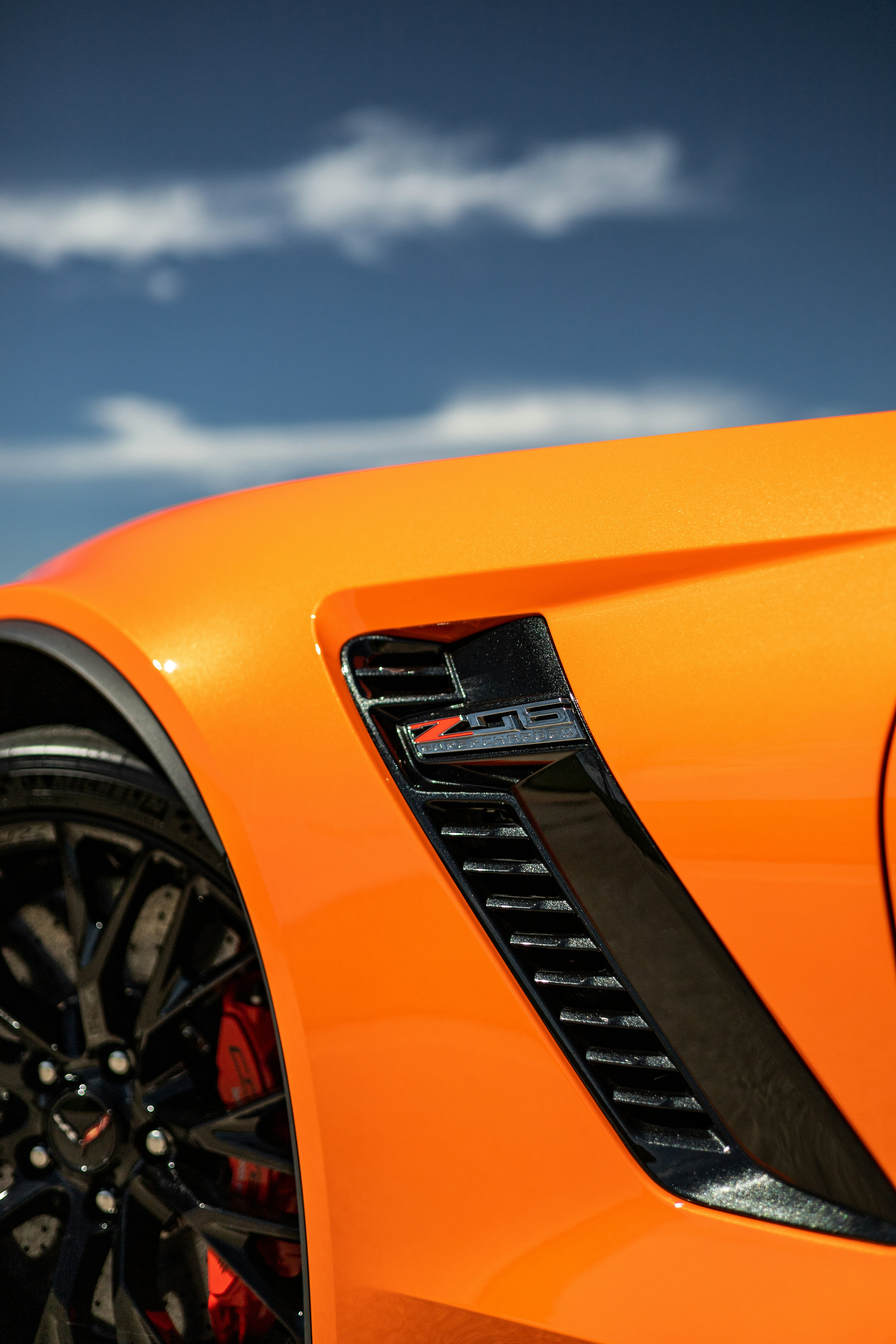 Photo by lonestarexotic