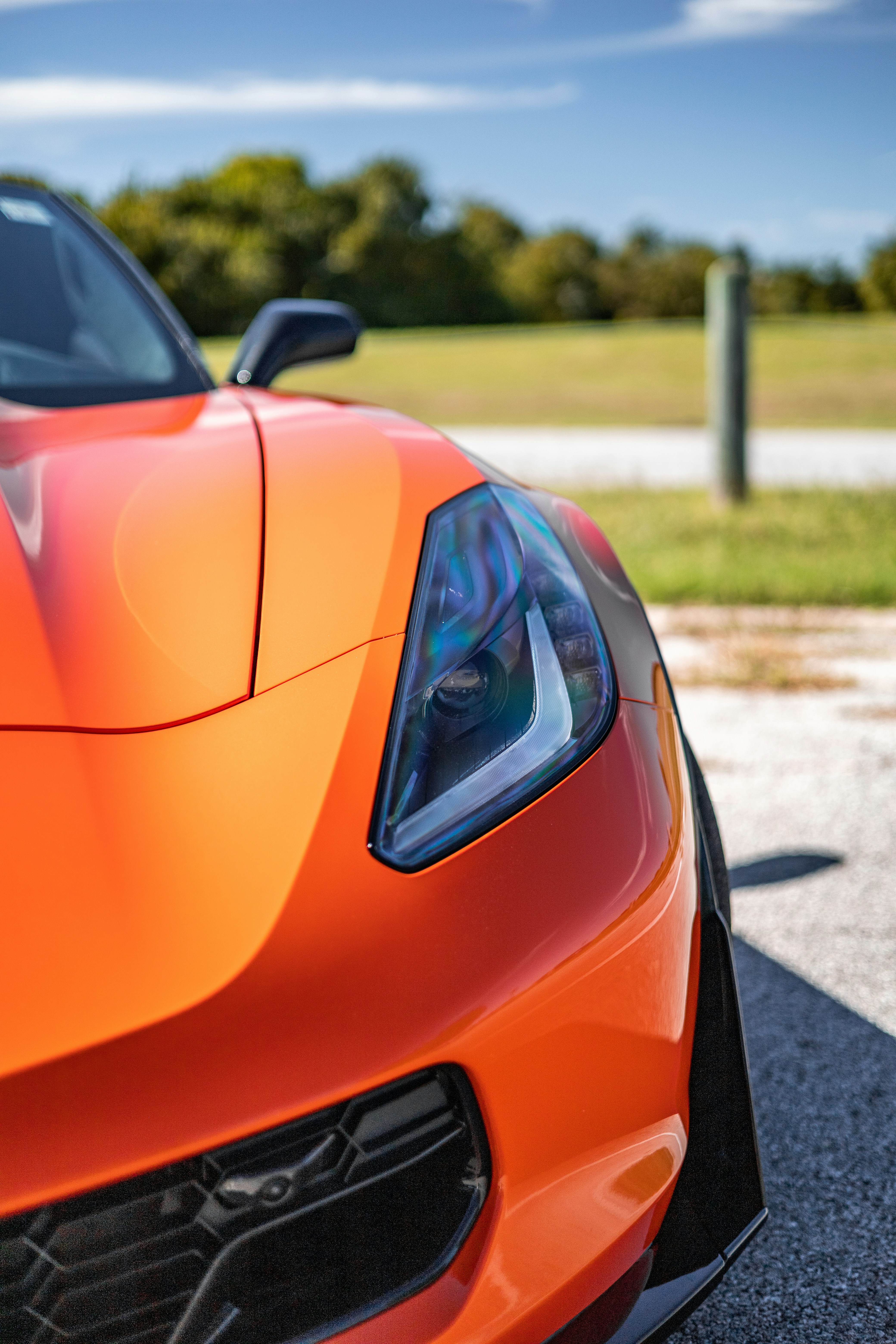 Photo by lonestarexotic