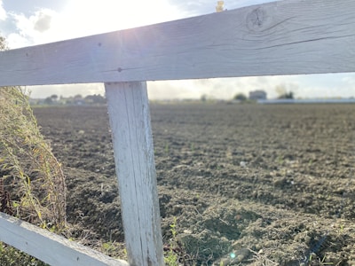 A well-maintained wooden fence freshly painted in a warm, earthy tone under a sunny sky.