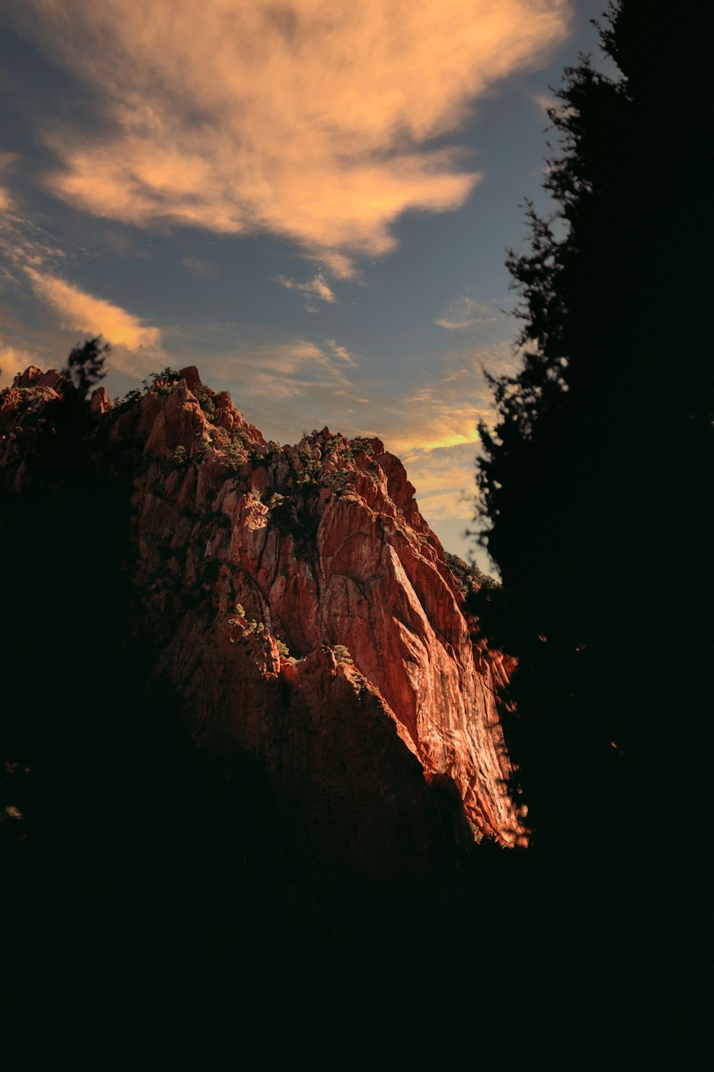 a very tall mountain with some trees on top of it