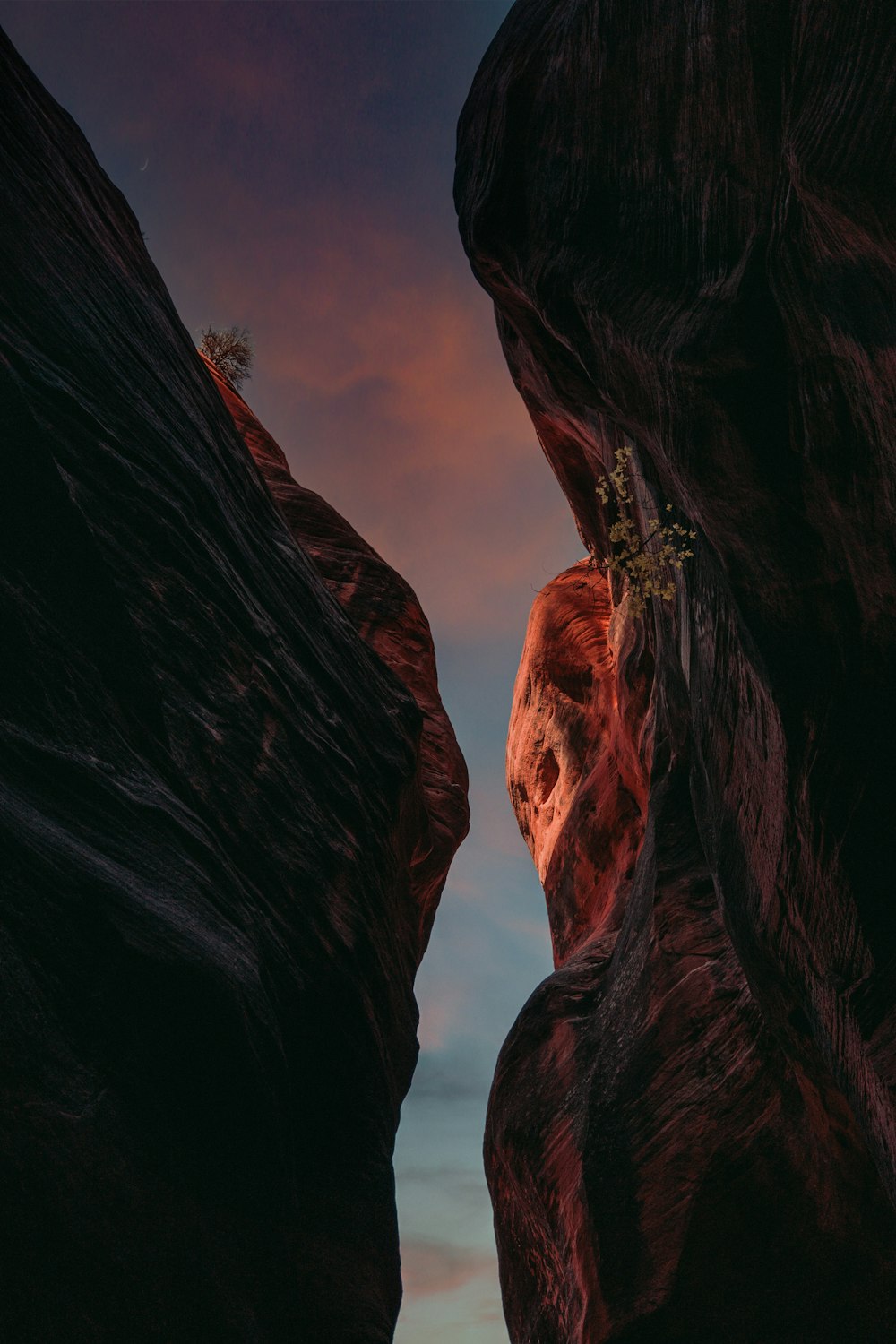 a rock formation with a tree growing out of it