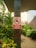 A sign with a red border and a symbol of a motorcycle inside a red circle with a diagonal line through it is mounted on a vertical pillar. Below the symbol, the text 'MOTOR DILARANG MASUK' is written, indicating motorcycles are not allowed to enter. The surrounding area includes lush green foliage and a paved pathway.