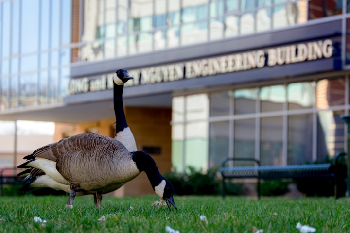 Fairfax University of America