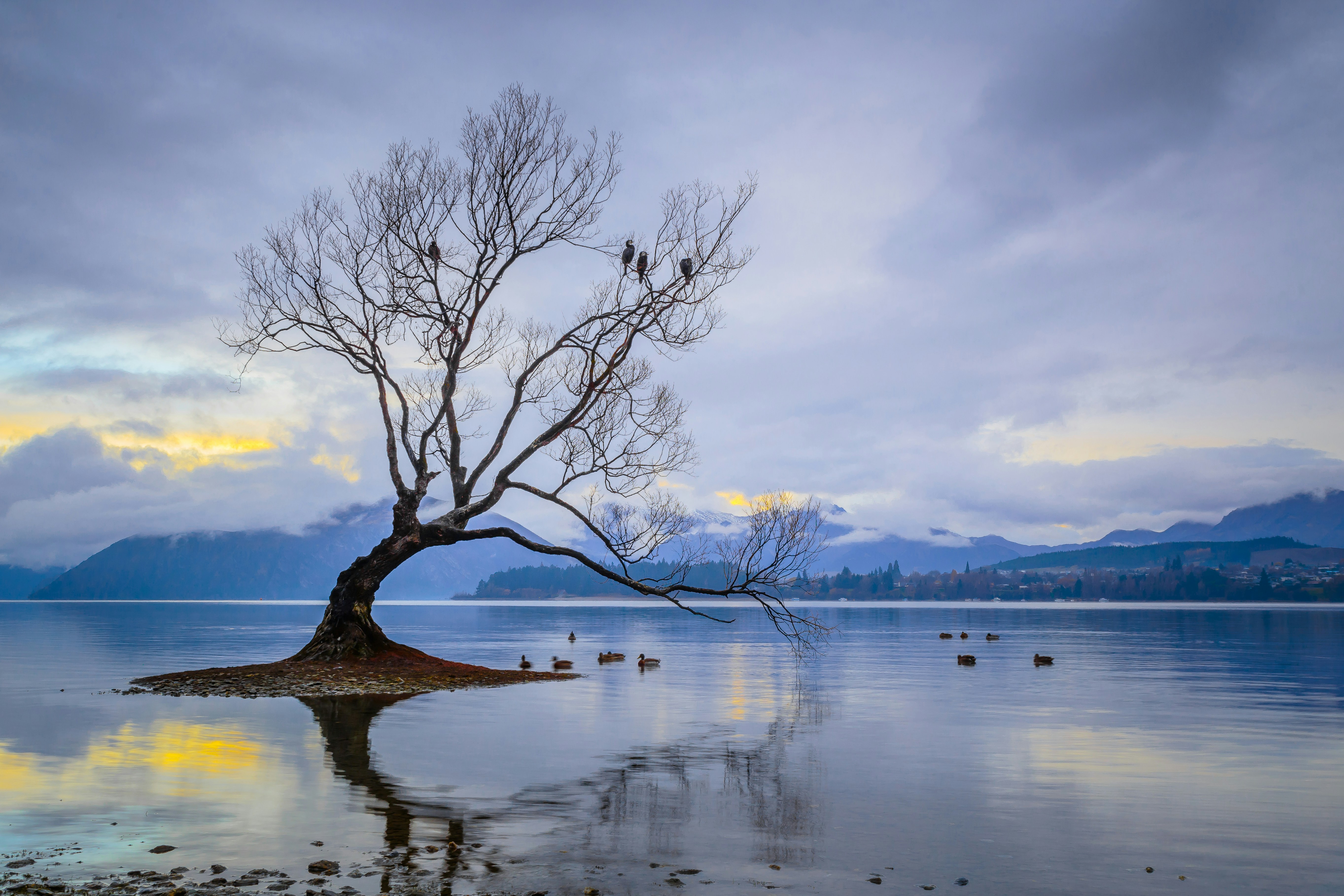 Photo by digitalhead