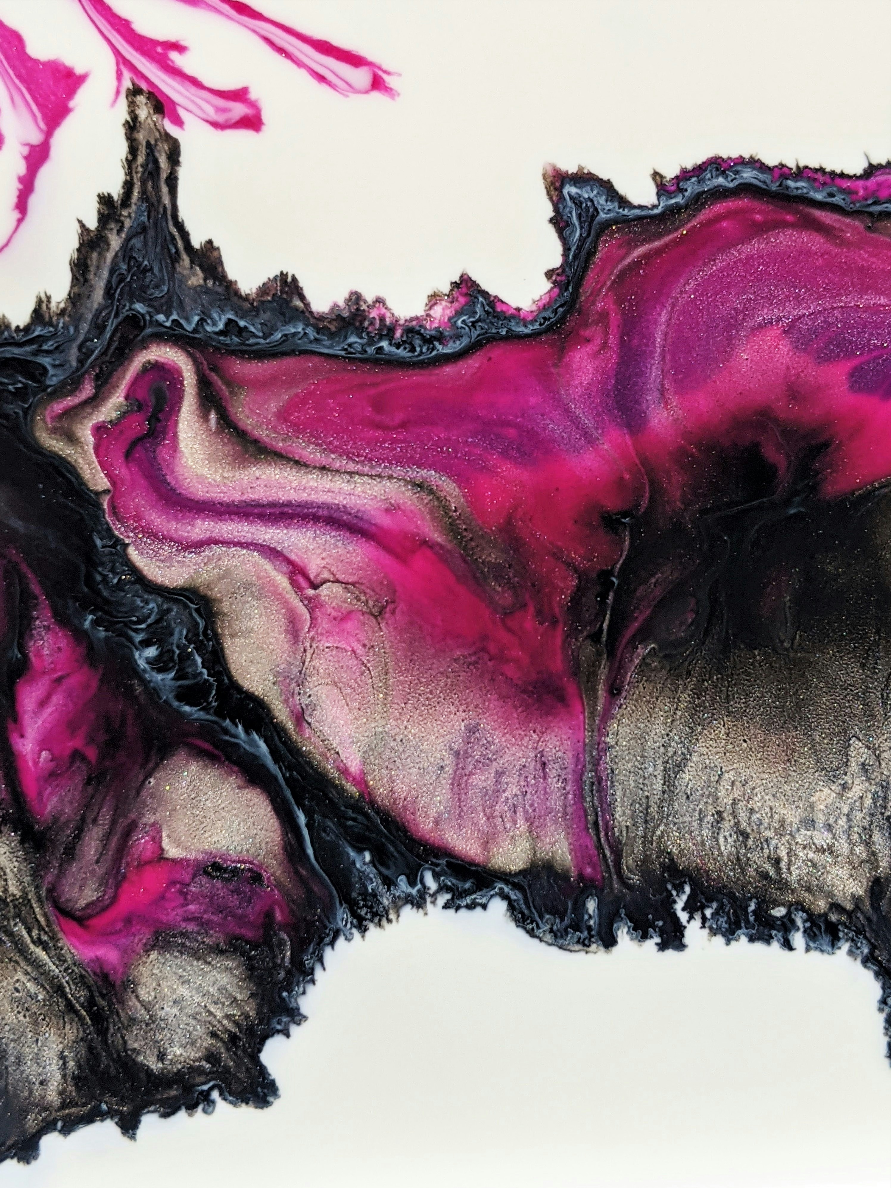 Photo by susan_wilkinson