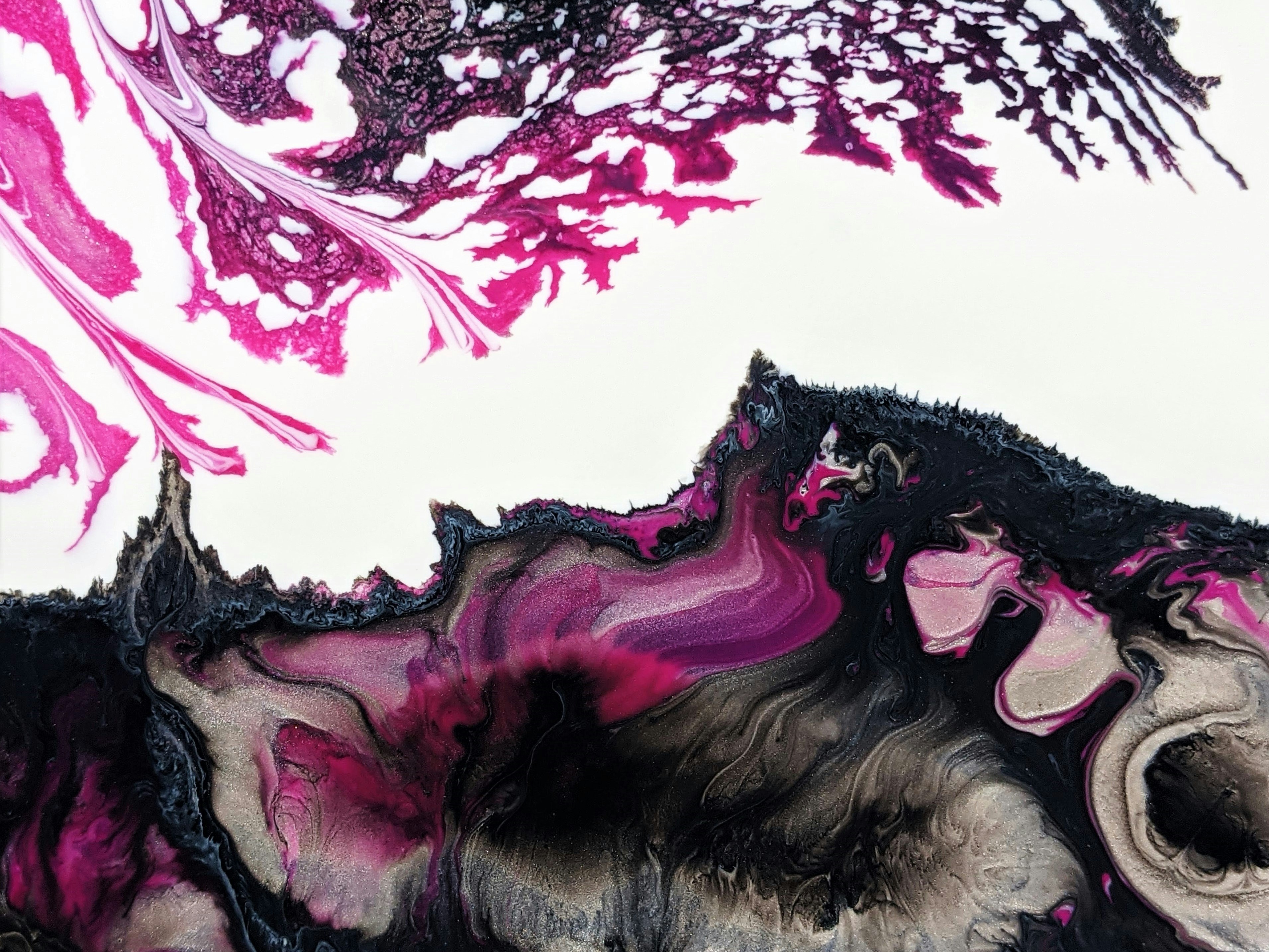 Fotografía vía unsplash @susan_wilkinson