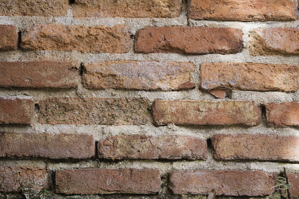 a close up of a brick wall made of bricks