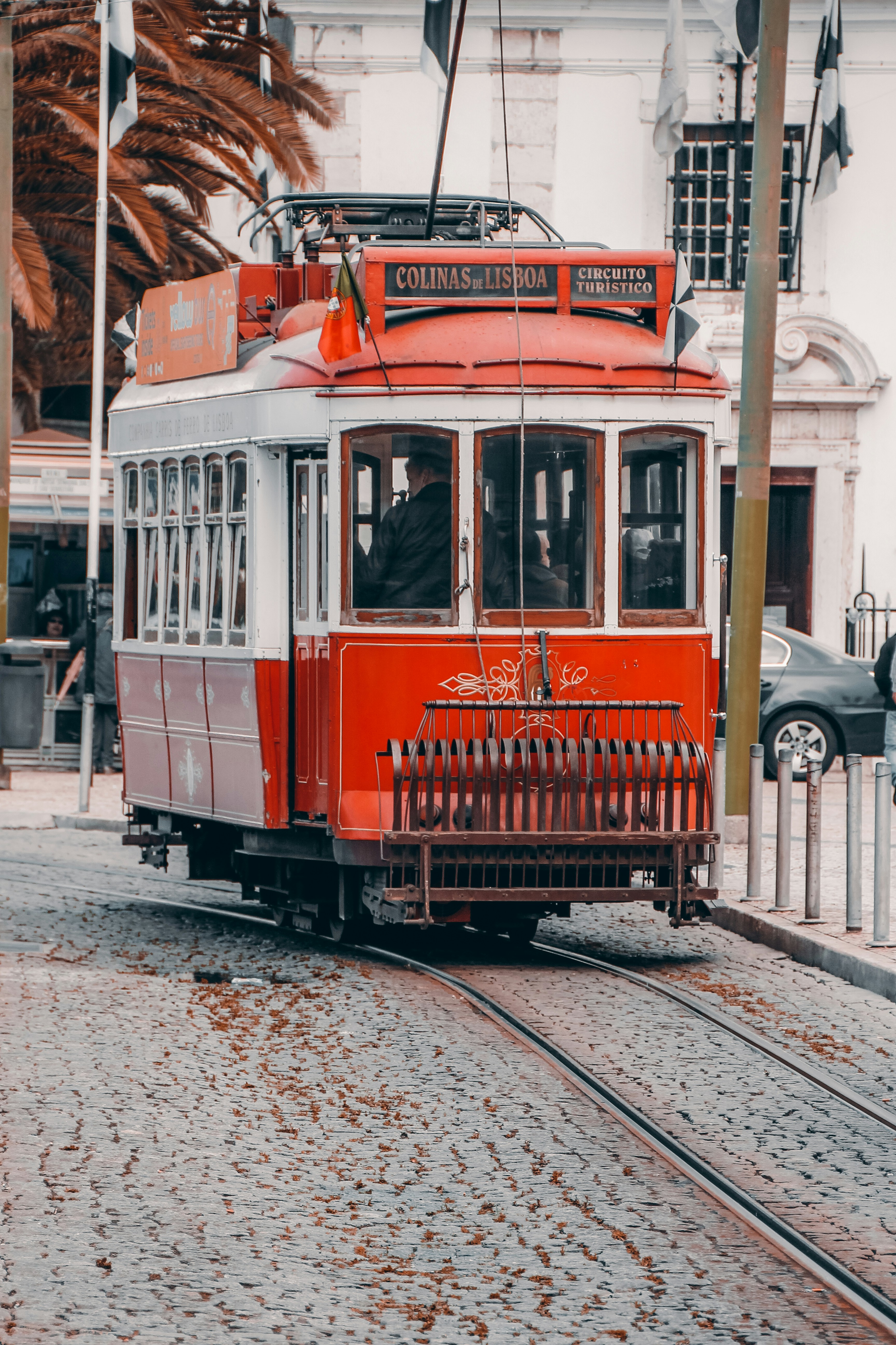 Photo by claudiocmota