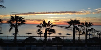 A vibrant beach sunset with calm waters and silhouetted palm trees.